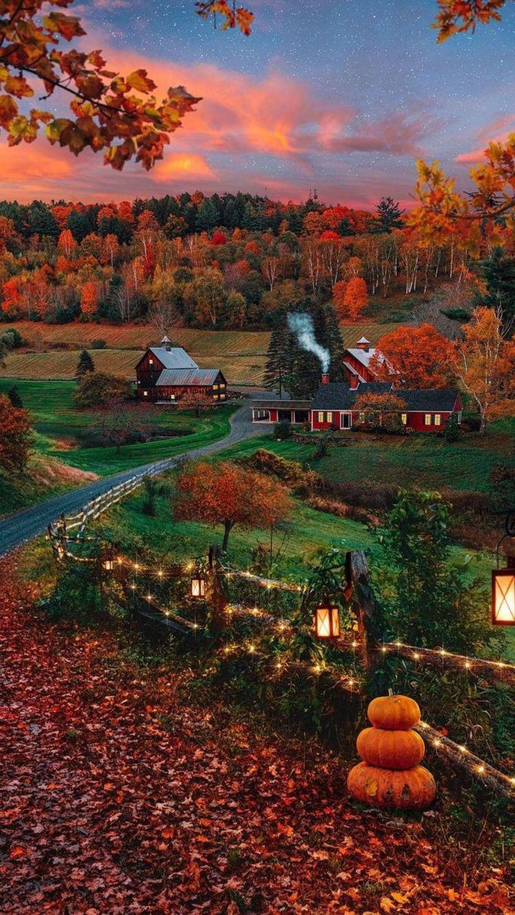 Cute Cottage Home At Fall Autumn With Pumpkins Thanksgiving Halloween