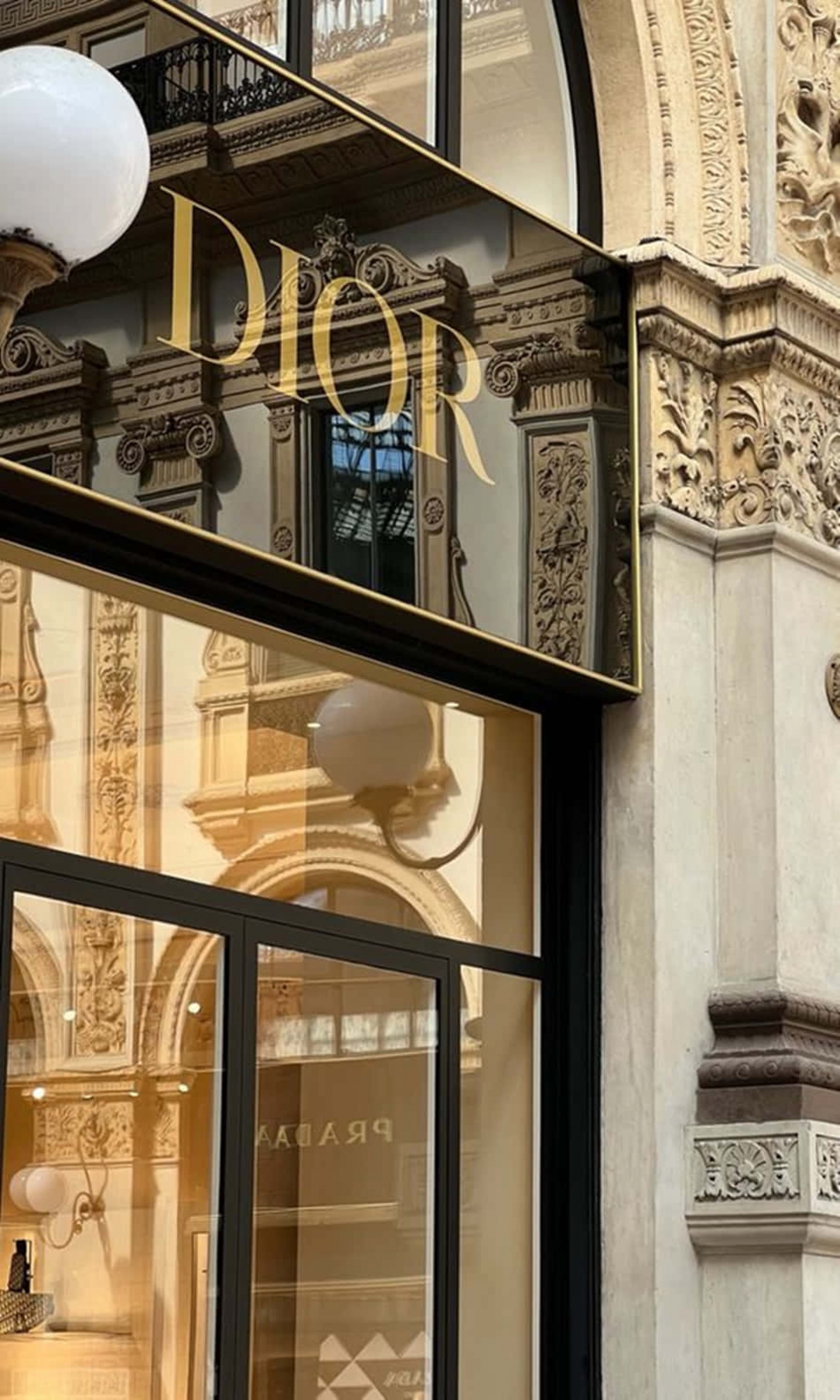 Dior Logo Luxury Brand Store