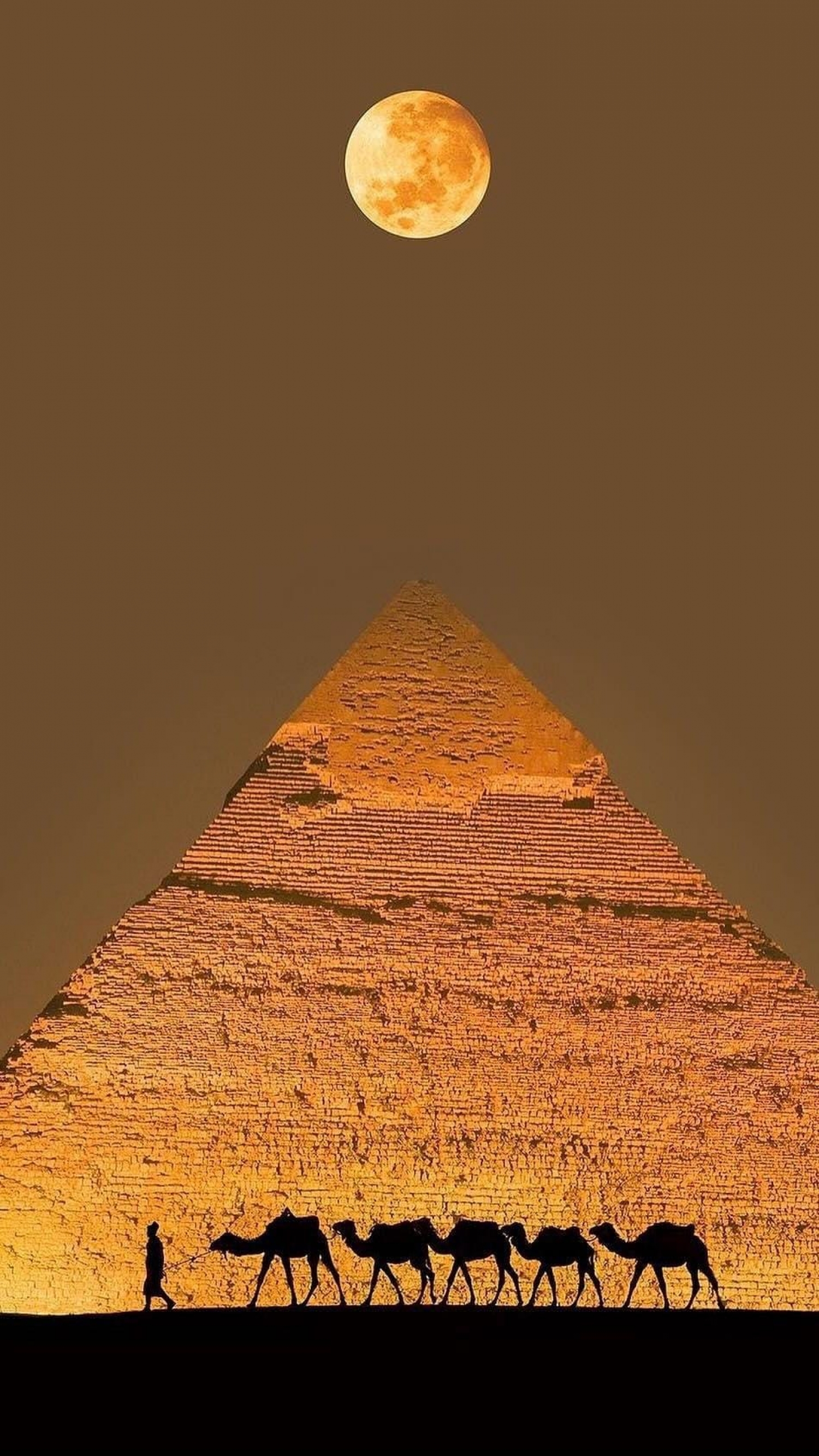 Egyptian Pyramids With Camels wallpaper for Apple iPhone, Apple Watch, Mac, iPad and Apple Watch