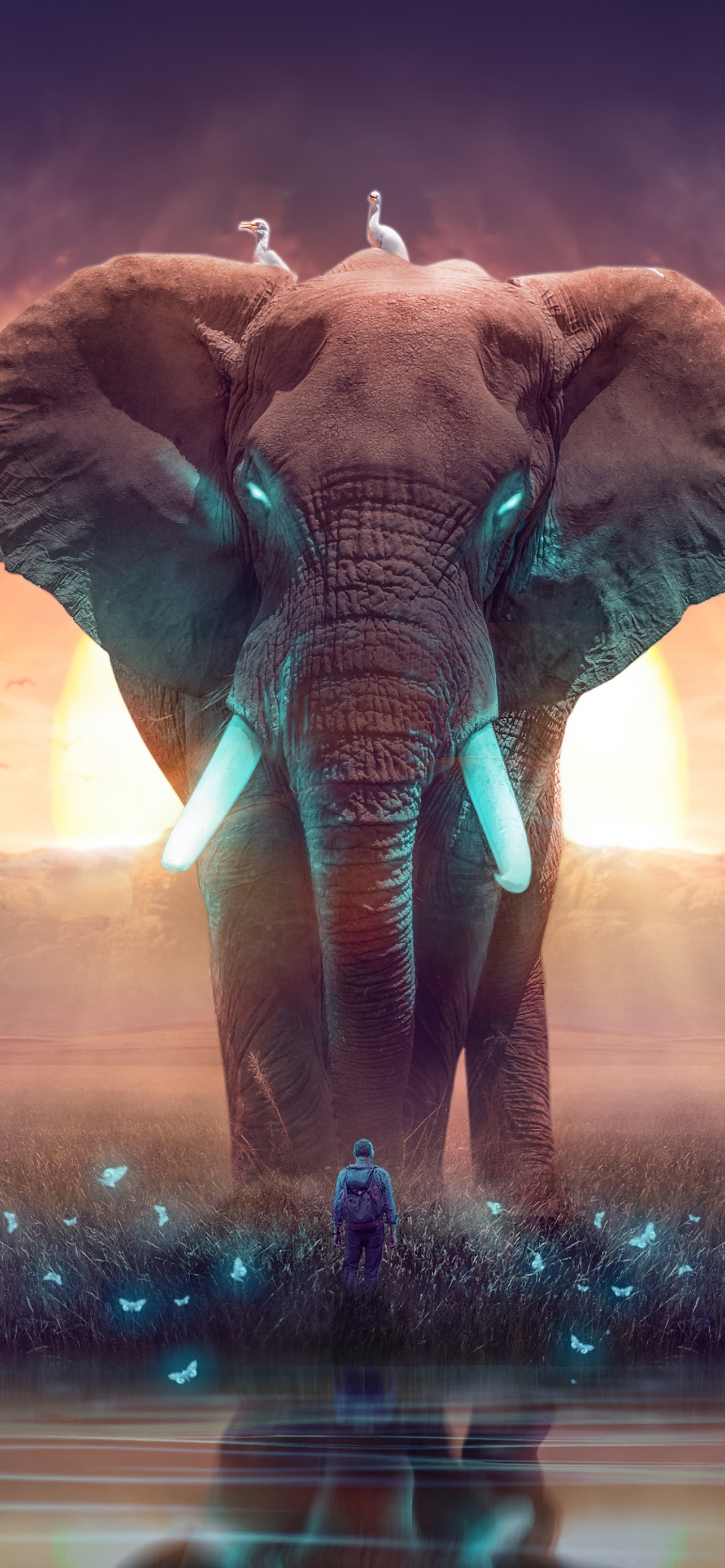 Elephant Dream Mysterious Surreal Landscape Digital Art