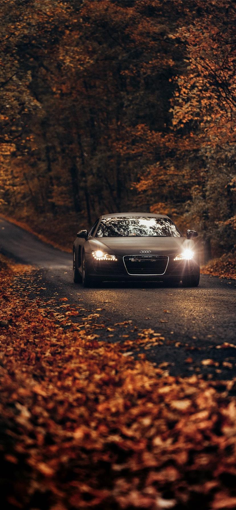 Fall Drives On Country Roads iPhone Audi Leesburg USA United States