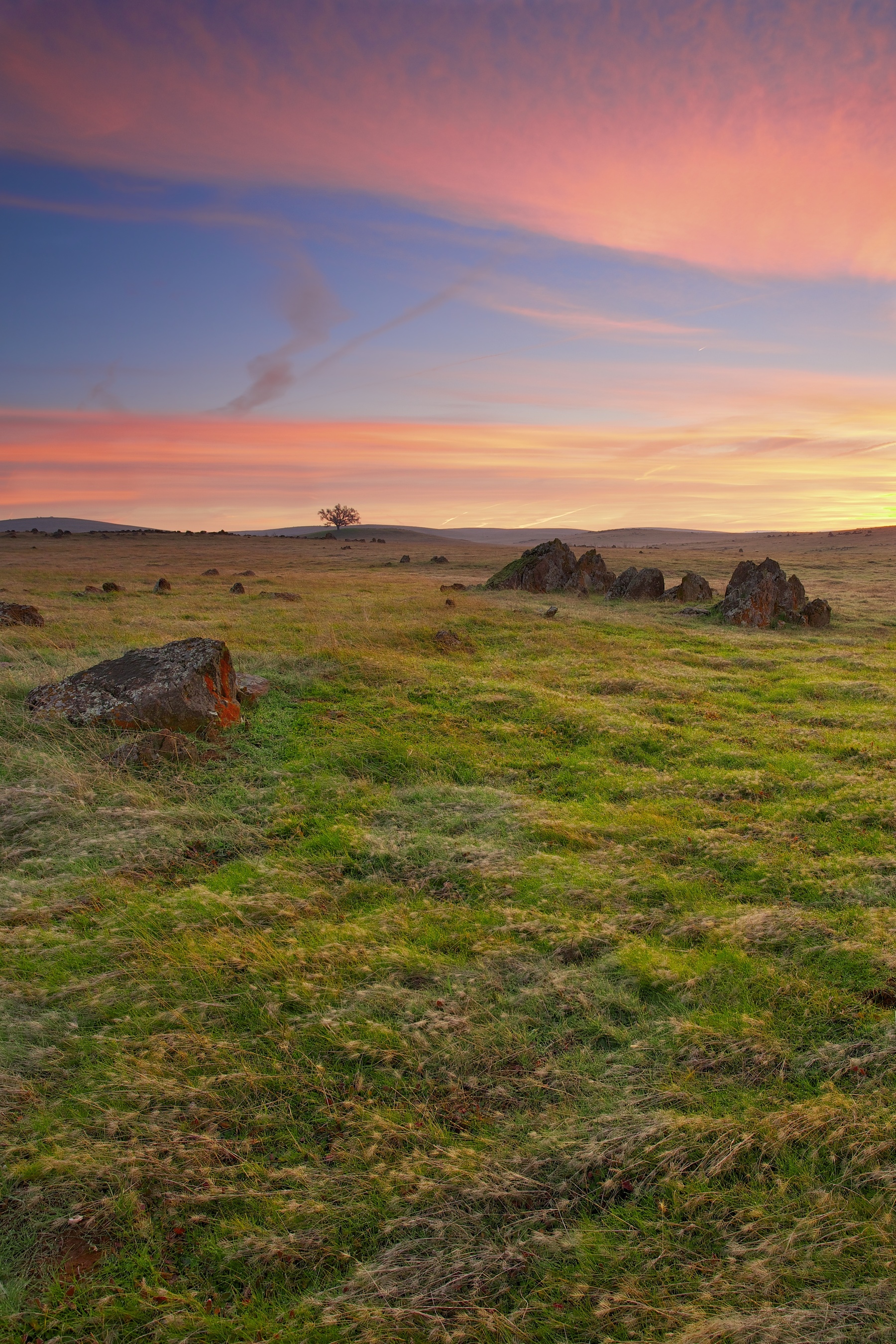 Field With Sunset In Folsom City California State United States USA