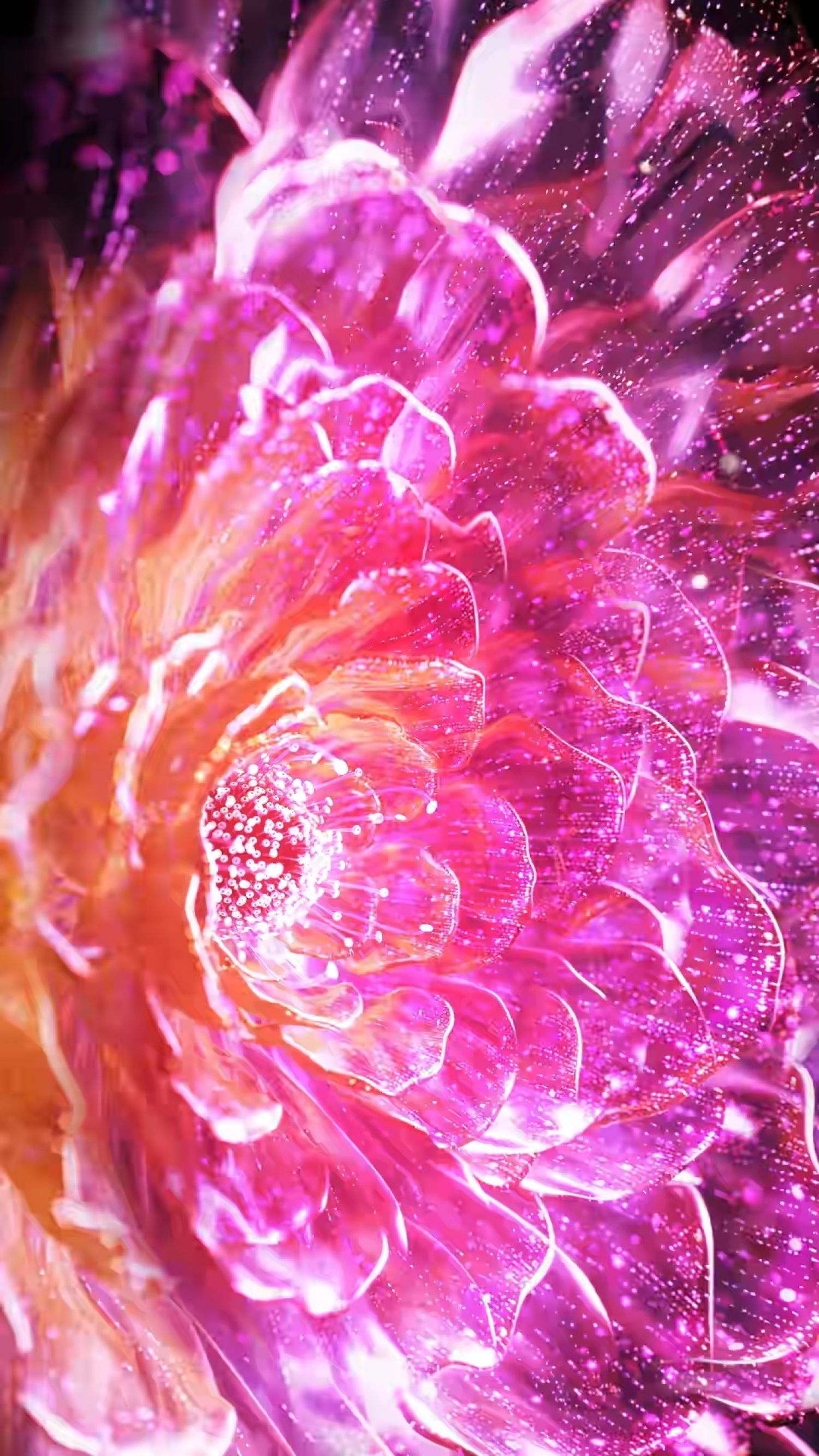 Pink Magical Flower Close Up wallpaper for Apple iPhone, Apple Watch, Mac, iPad and Apple Watch