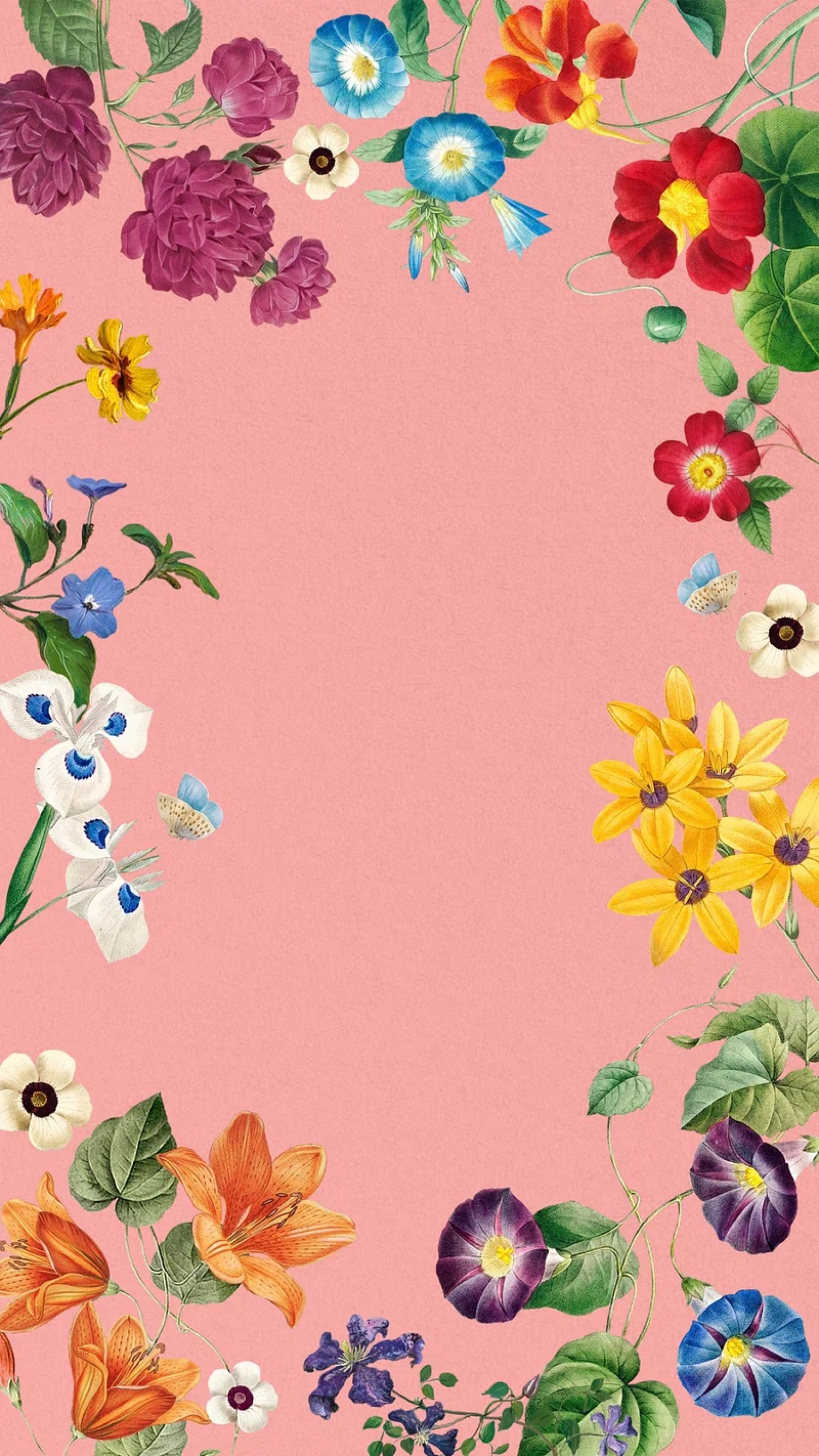 Flowers Around The Edge Of Your iPhone Screen Colorful Bloom