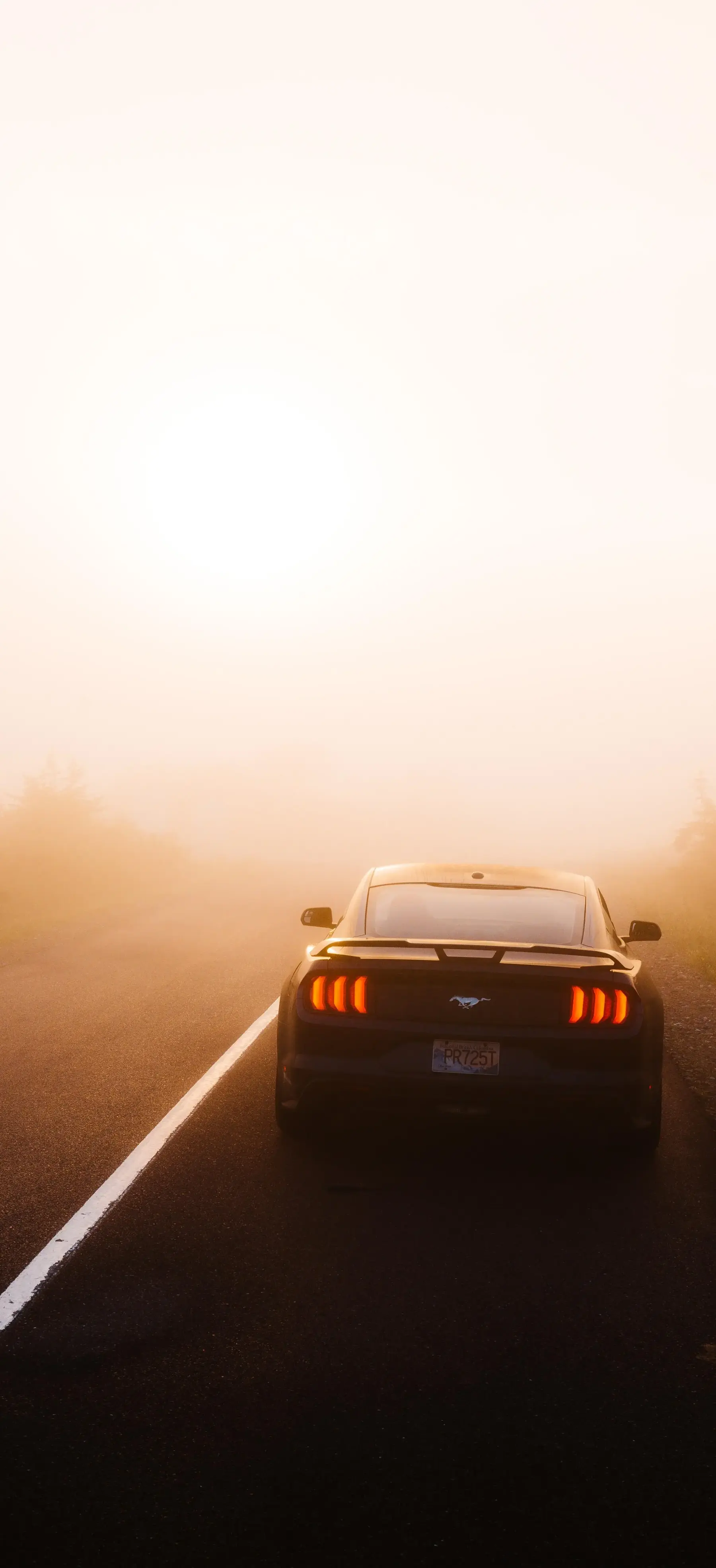 Ford Mustang Driving In Fog Most Popular Download Free Wallpapers For iPhone 12 13 14 15 16 Pro Max And Android wallpaper for Apple iPhone, Apple Watch, Mac, iPad and Apple Watch