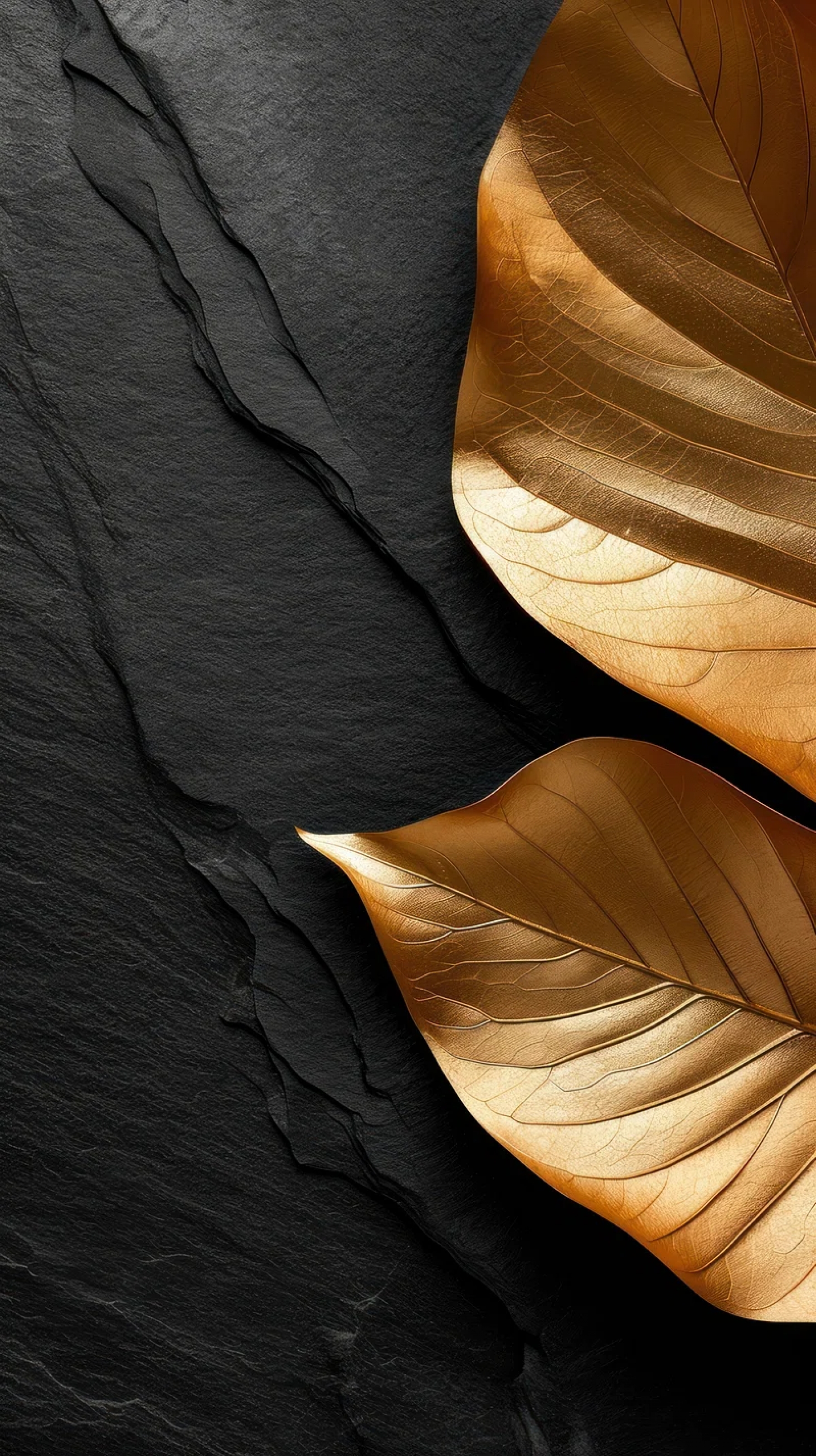 Gold Leafs On A Black Background Photography wallpaper for Apple iPhone, Apple Watch, Mac, iPad and Apple Watch