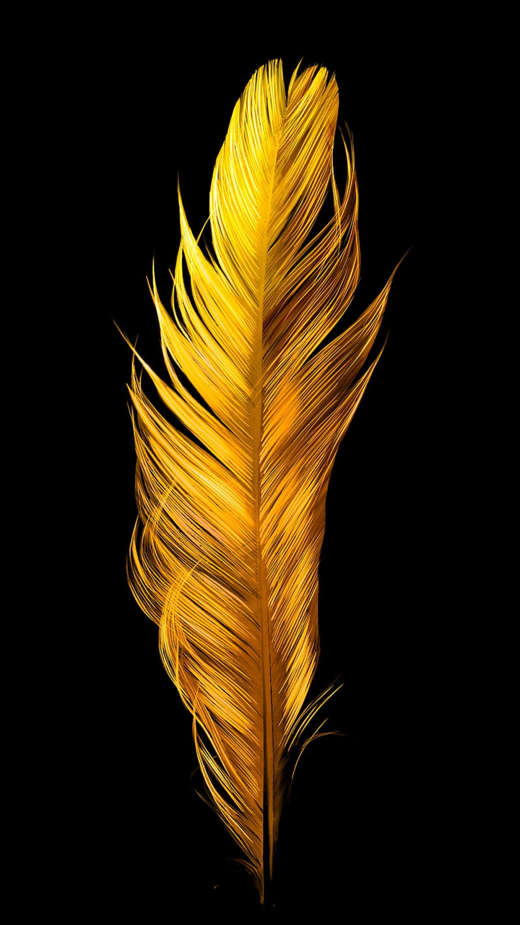 Gold Plated Feather