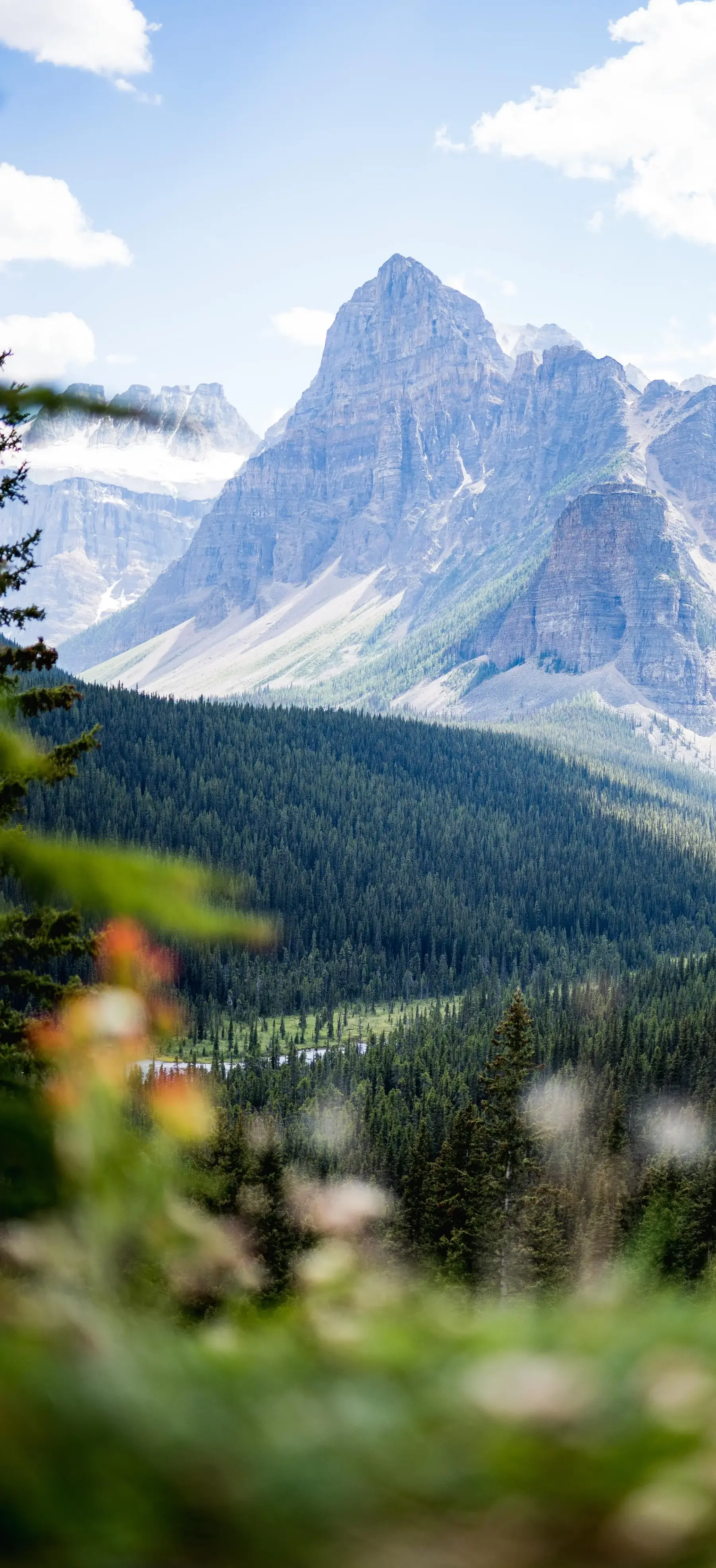 Green Forest With Mountains Landscape Nature 8K 6K 4K Most Popular Download Free Wallpapers For iPhone 12 13 14 15 16 Pro Max And Android wallpaper for Apple iPhone, Apple Watch, Mac, iPad and Apple Watch