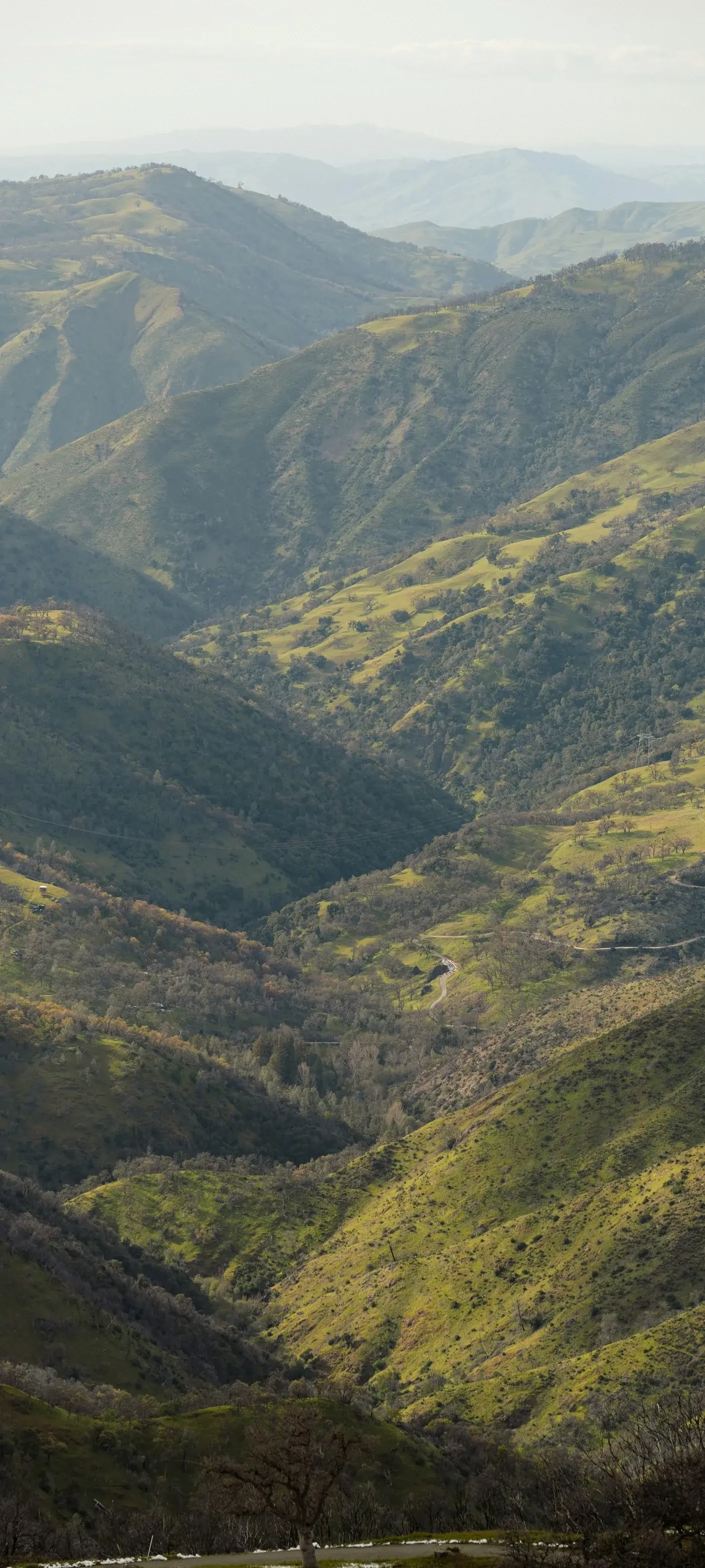 Green Rolling Hills Best Shots Of California State Landscapes Nature 2K 4K HD United States USA