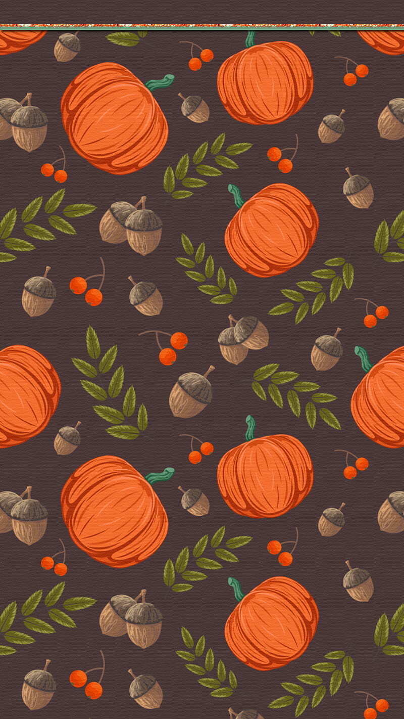 HD Wallpaper Season Autumn Cute Fall Pumpkins Thanksgiving