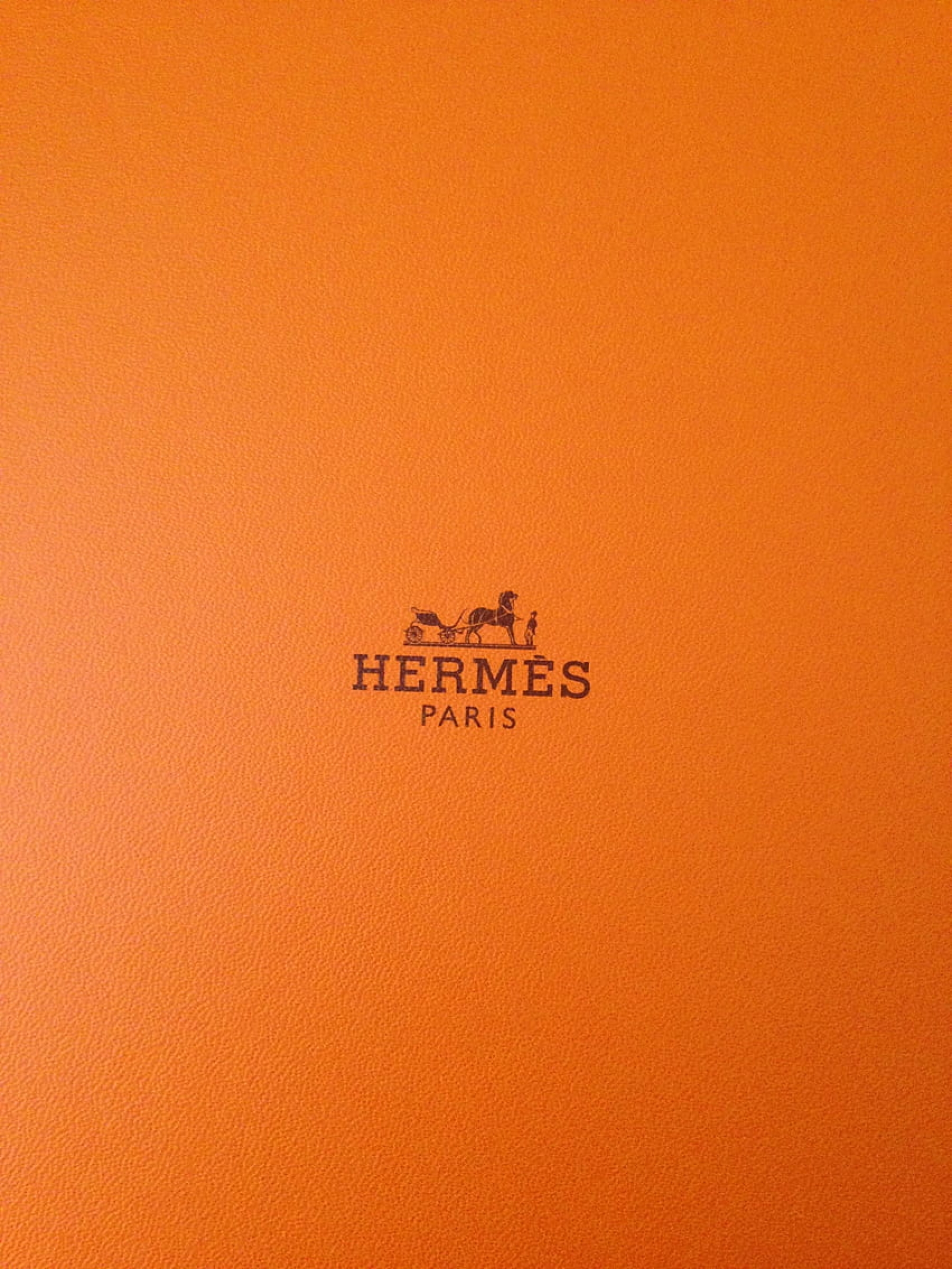 Hermès Paris Box Logo Luxury Brands