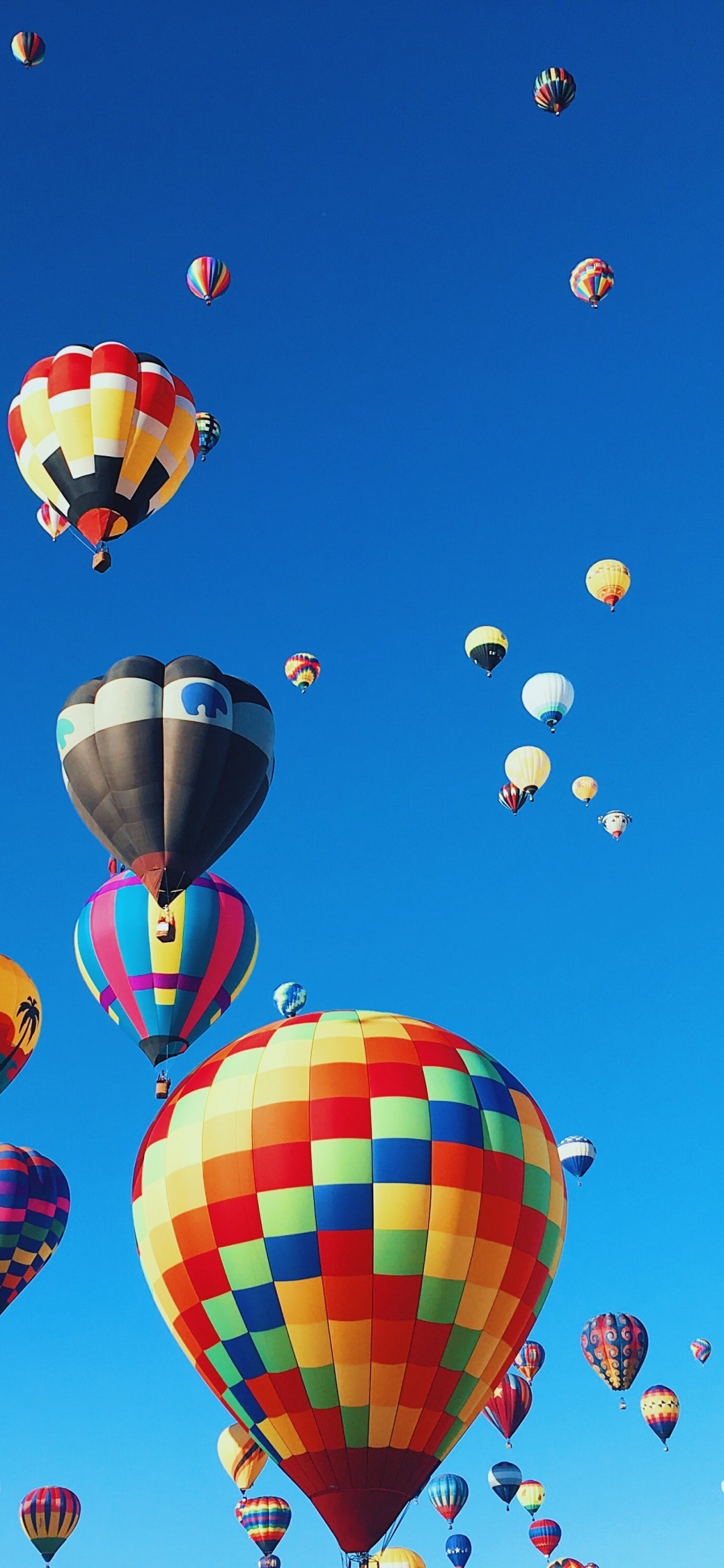 iPhone 16 Hot Air Balloons Festival Colorful Blue Sky Aesthetic