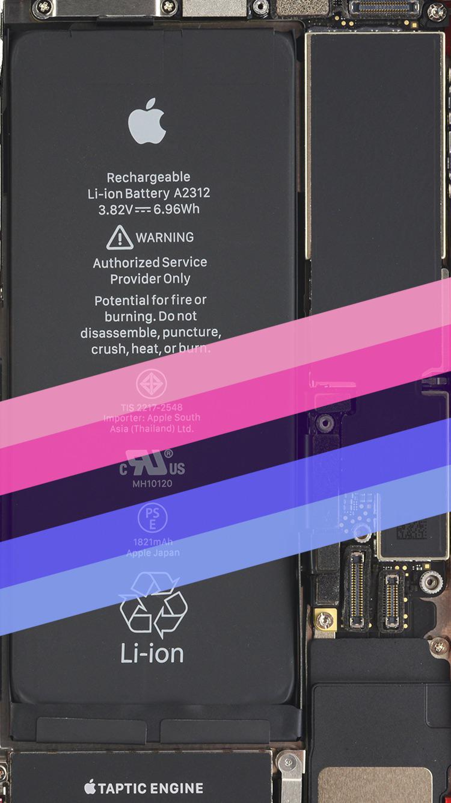 iPhone Internal Teardown Hardware Schematic With Colorful Stripes