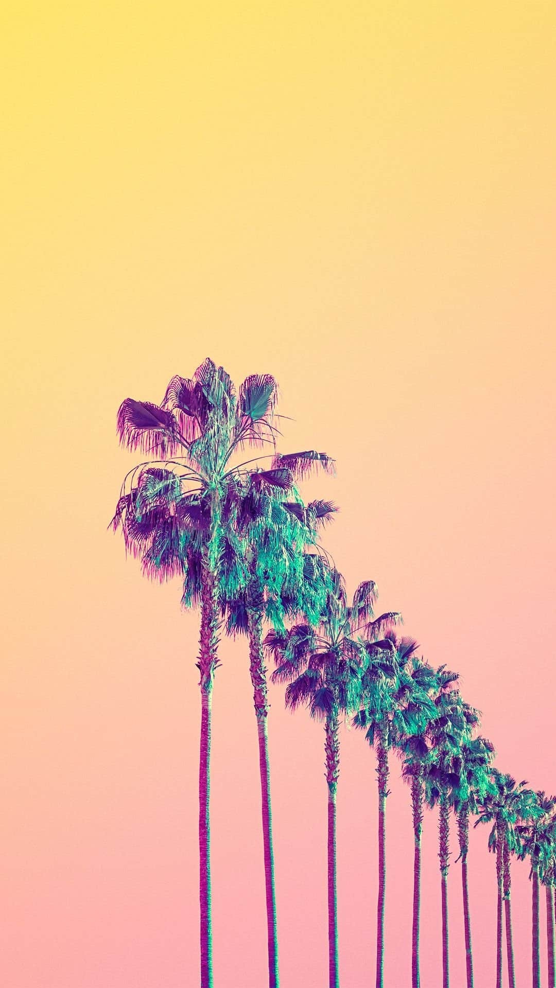 iPhone Wallpaper Aesthetic Wallpaper Summer Vibe Gradient Palm Trees iPhone wallpaper