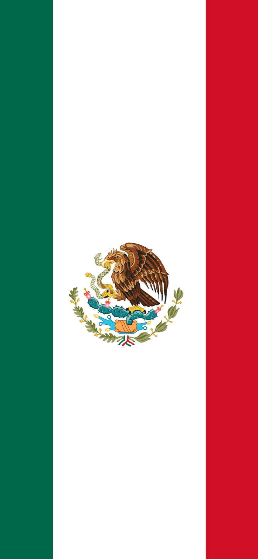 iPhone Wallpaper Mexican Flag For iPhone 15 16 Mexico Phone wallpaper for Apple iPhone, Apple Watch, Mac, iPad and Apple Watch