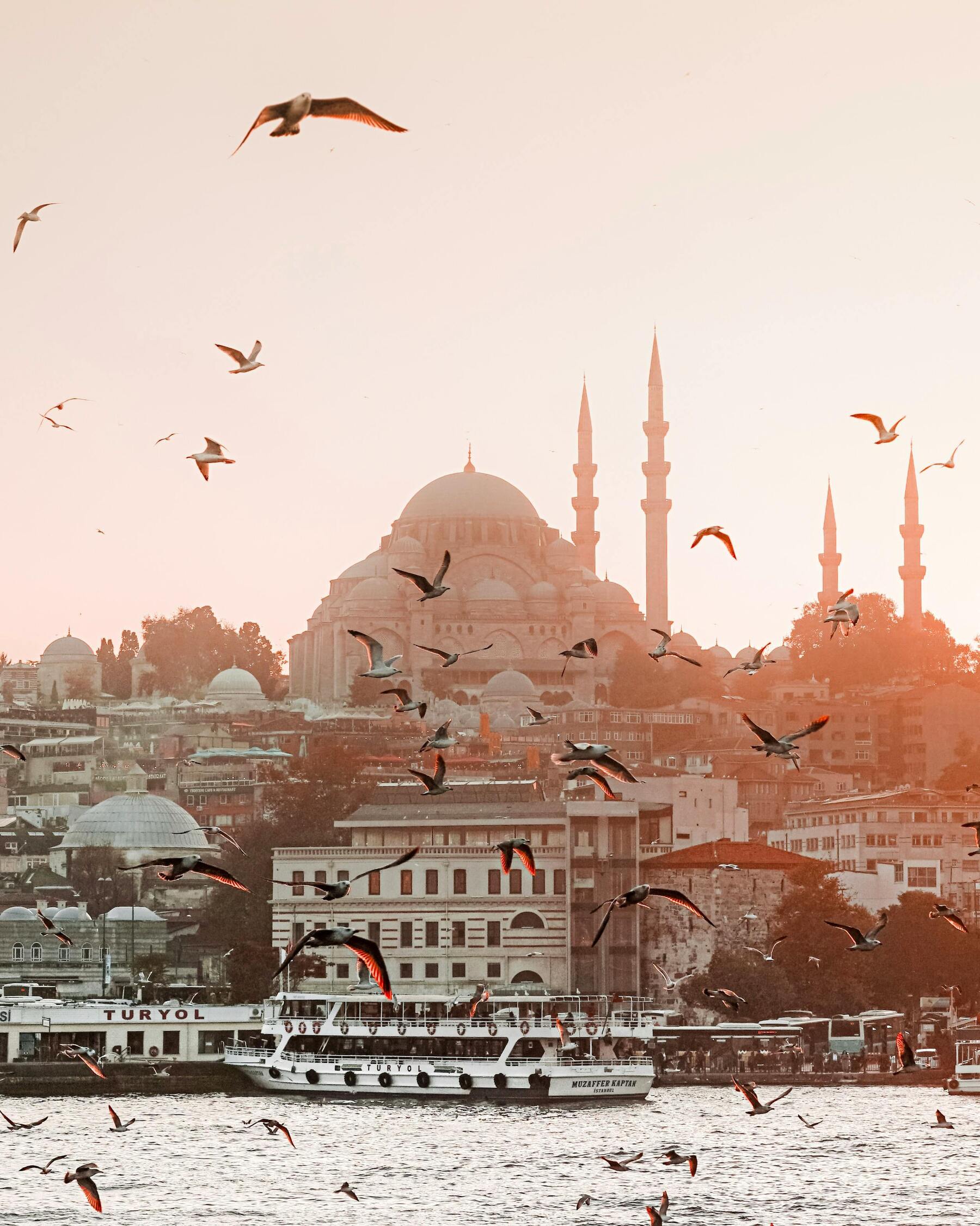 Istanbul Turkey Seagulls Mosque wallpaper for Apple iPhone, Apple Watch, Mac, iPad and Apple Watch