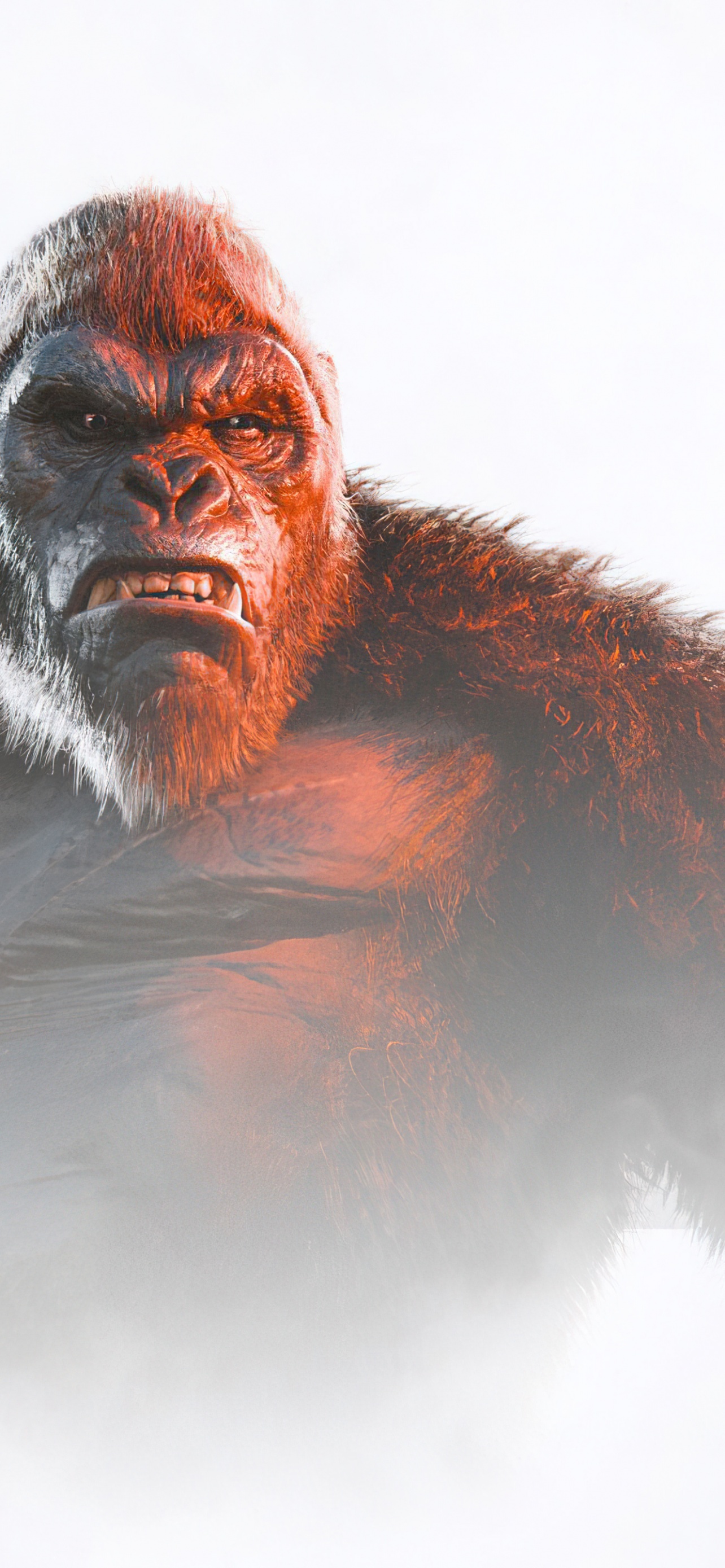 King Kong Survivor Top Ultra HD Trending Desktop Wallpaper Images JPG PNG For iPhone And Android 4K 5K Screensavers Backgrounds