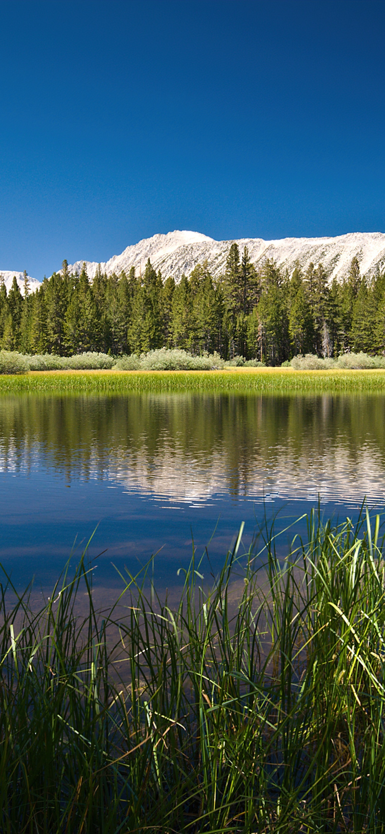 Lake Mountains Forest Sunny Day Summer Reflections Body Of Water