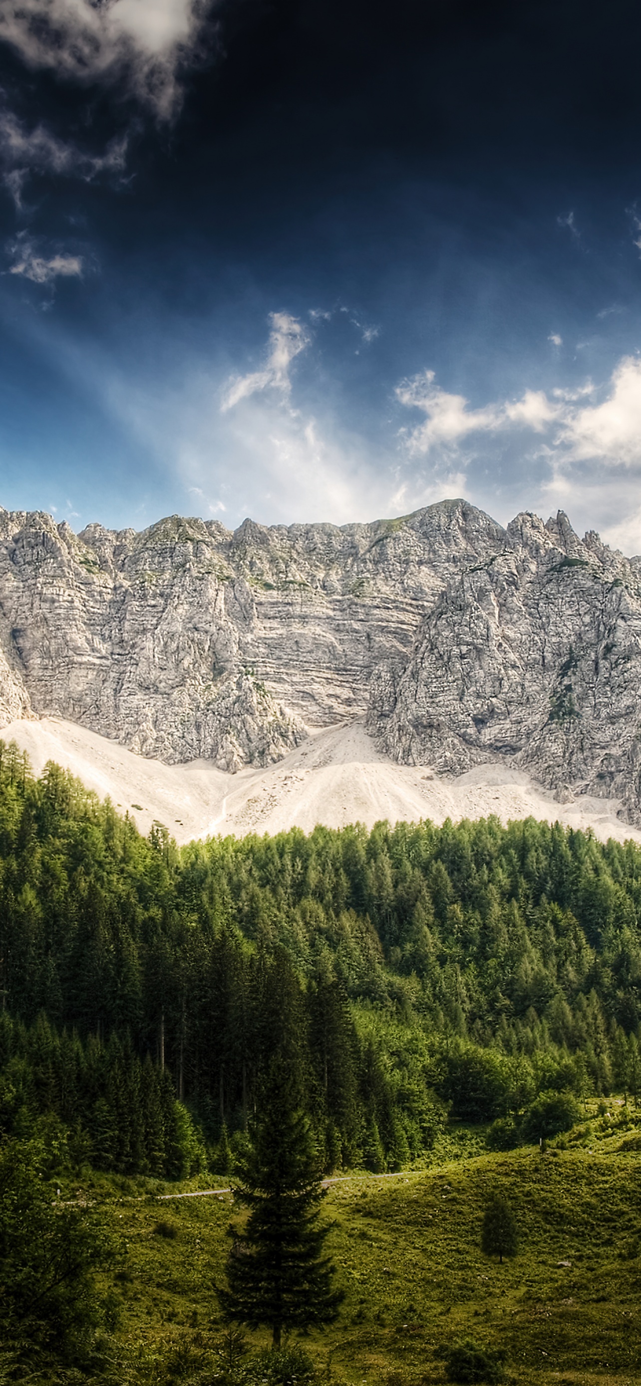 Landscape Carinthia Austria Mountains Forest HDR