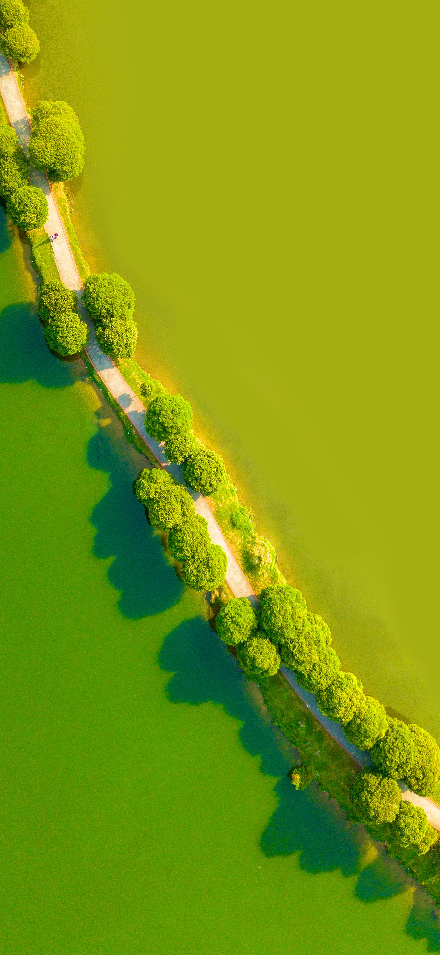 LG G8 Thinq Stock Green Swamp From Above