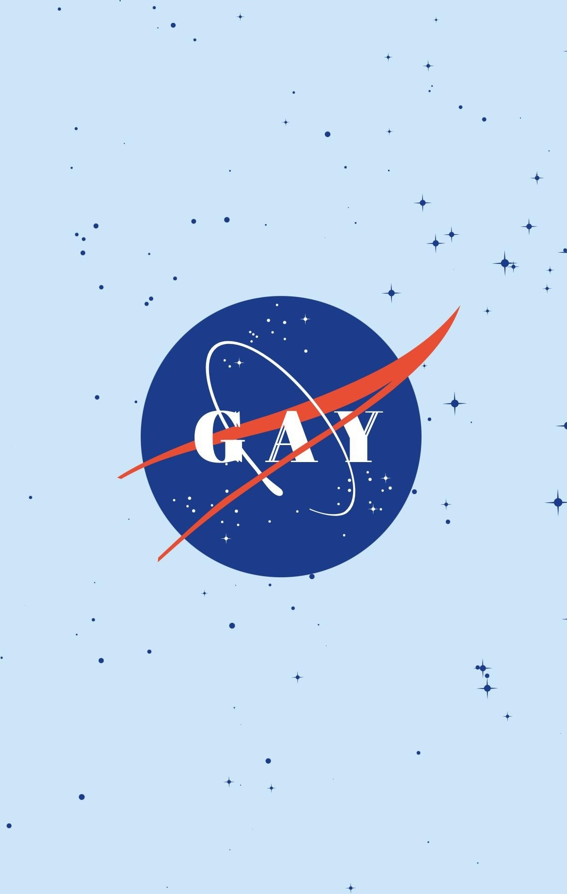 LGBTQIA LGBT Gay Pride Rainbow Flag NASA Logo