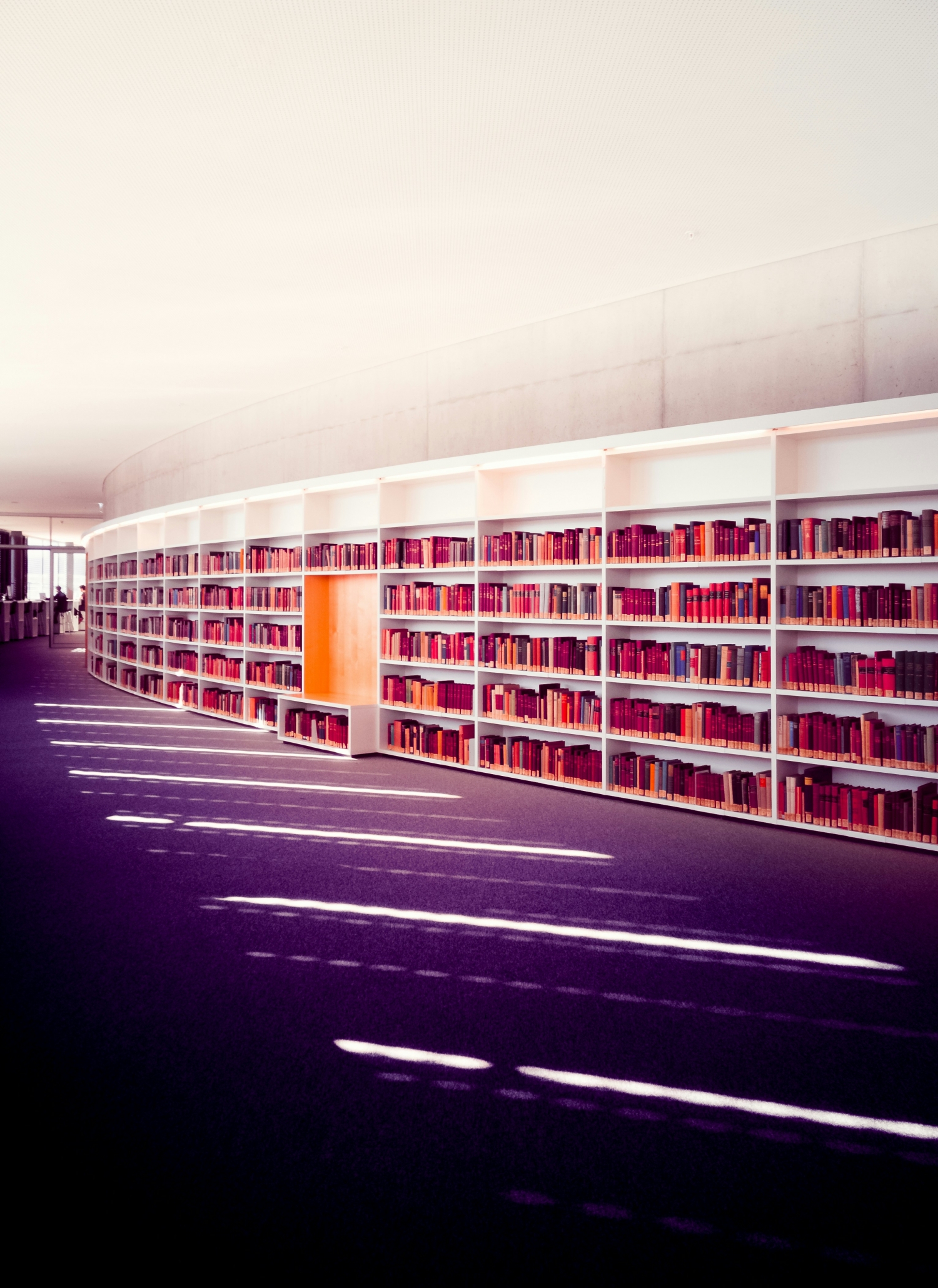 Library Colorful Bookshelf