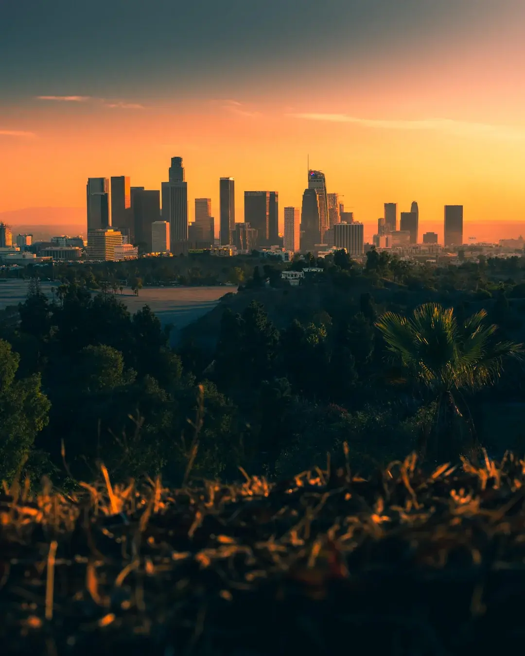 Los Angeles LA Southern California Socal Sunrise Cbd Golden Hour