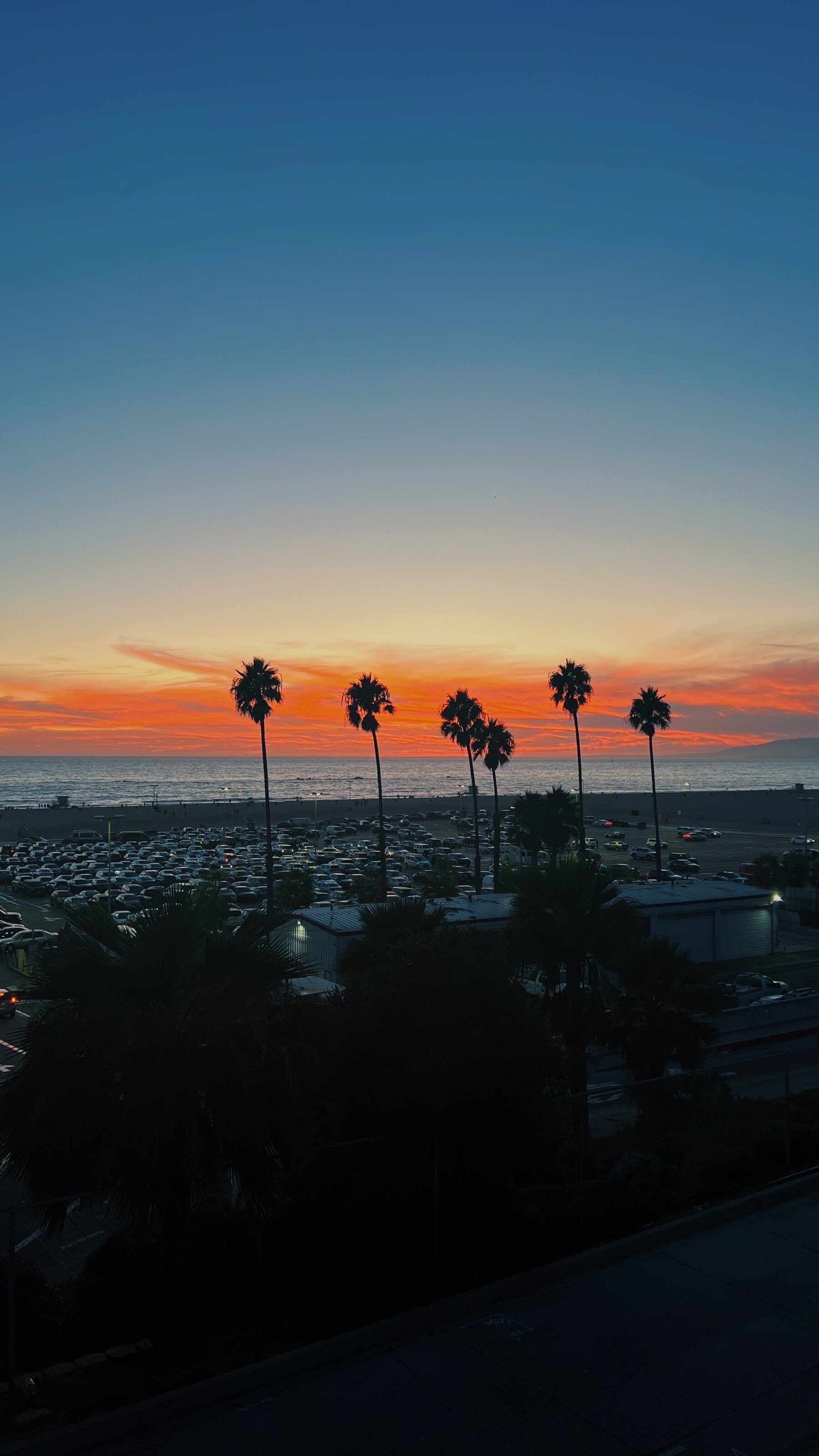 Los Angeles LA Southern California Socal Sunrise Sunset Palm Trees Blue Sky Minimalist Golden Hour