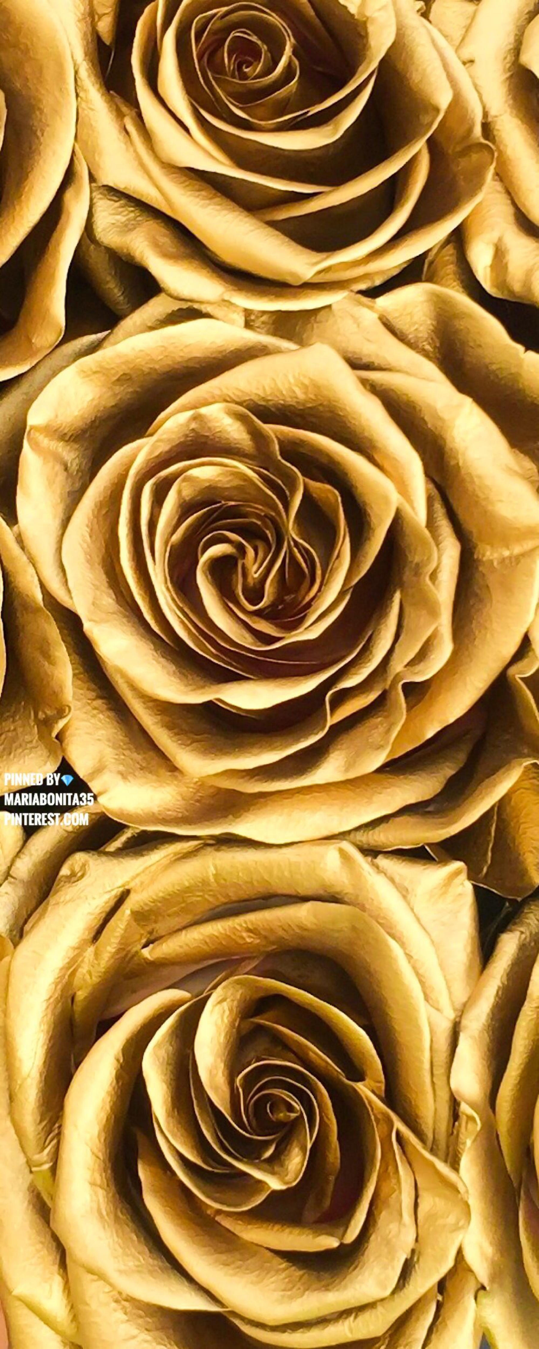 Luxury 18K Gold Leaf Roses