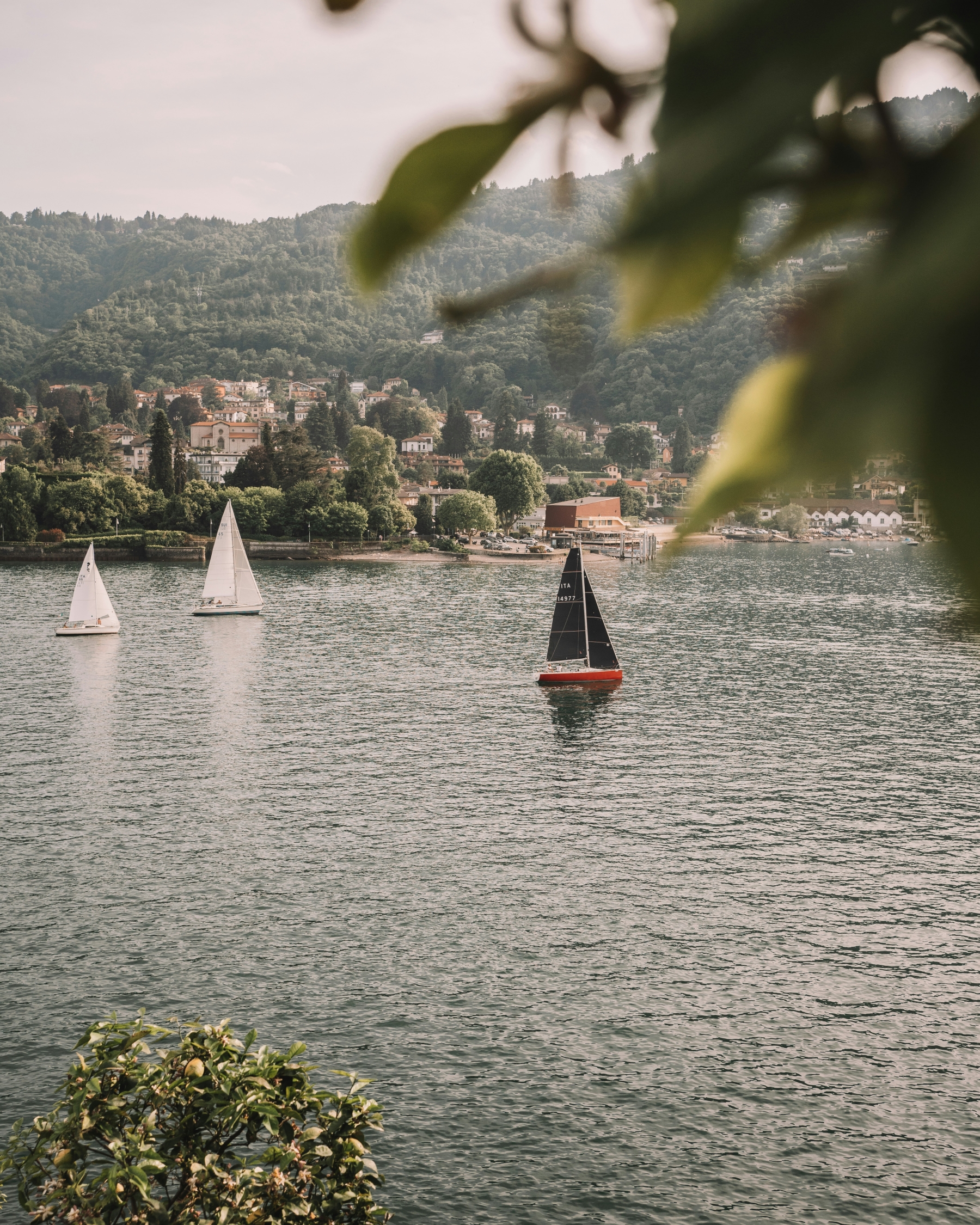 Luxury Sailing On The Bay Lifestyle