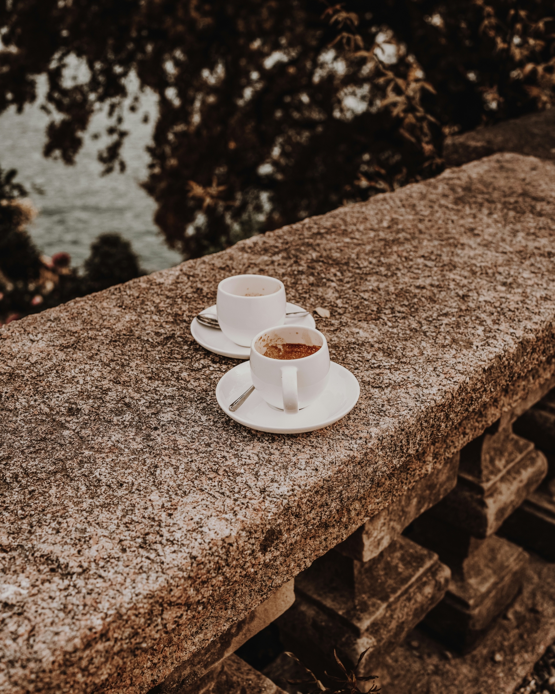 Luxury Sepia Coffee Espresso Cup