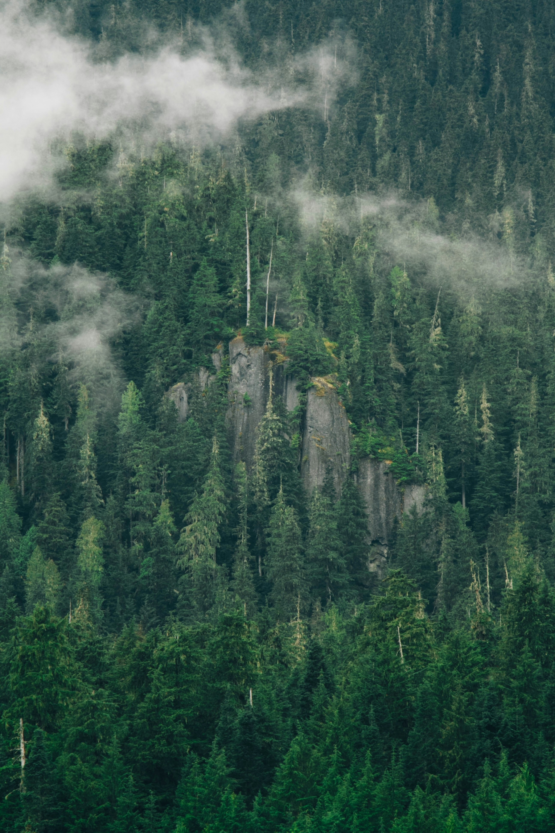 Moody Cliffs Edge Forest From Above wallpaper for Apple iPhone, Apple Watch, Mac, iPad and Apple Watch