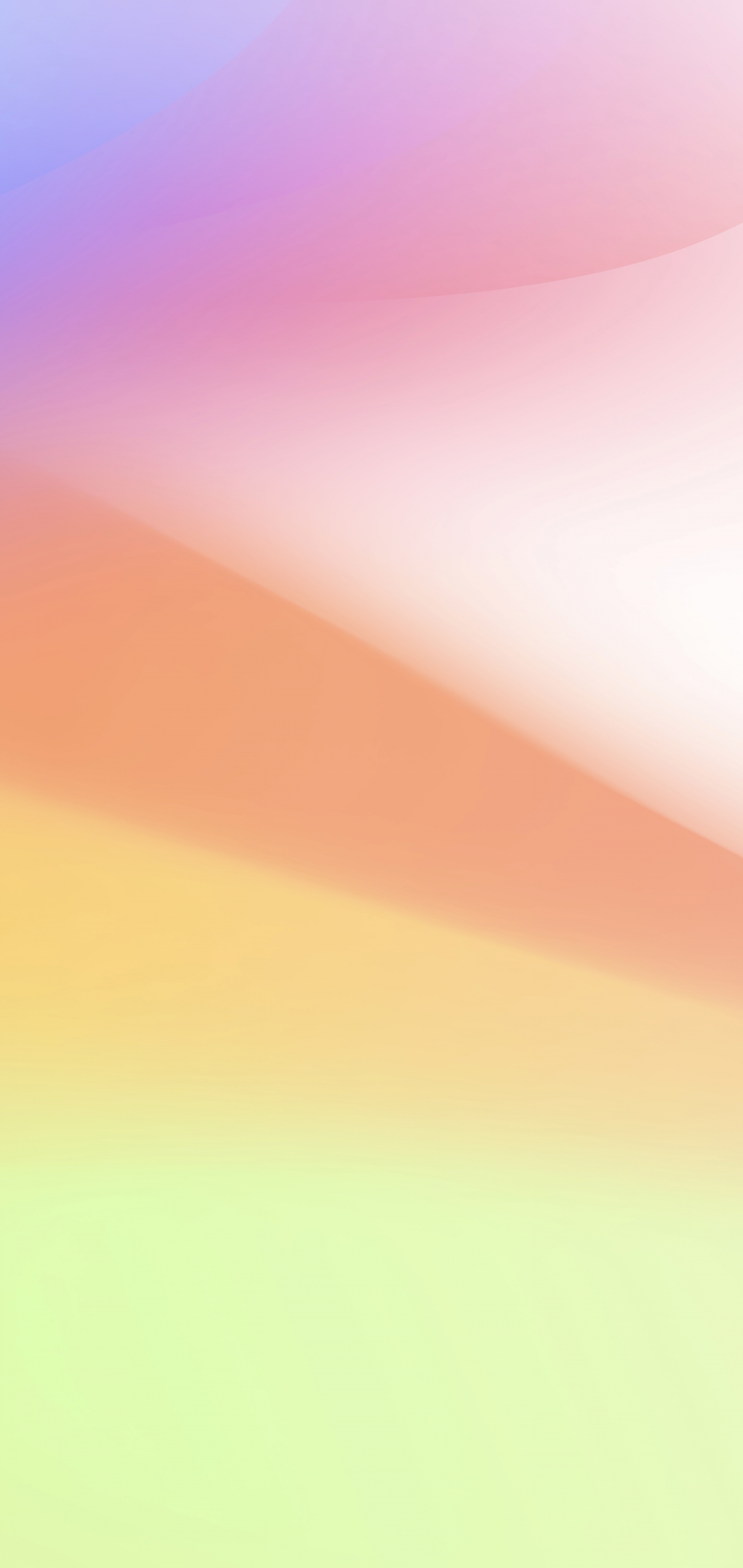 Multicolor Gradient Simple