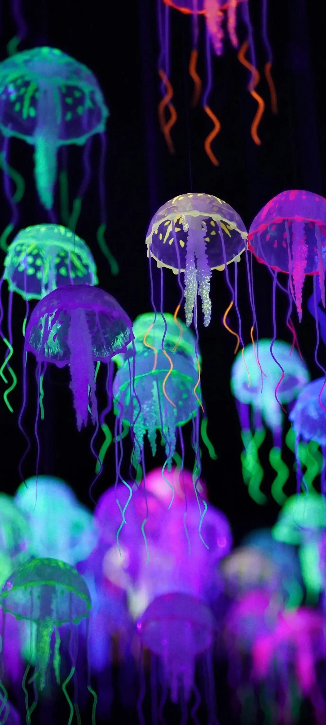 Neon Glowing Jellyfish Swarm HD Underwater Deep Ocean Translucent 4K Nature Creatures Of The Sea wallpaper for Apple iPhone, Apple Watch, Mac, iPad and Apple Watch