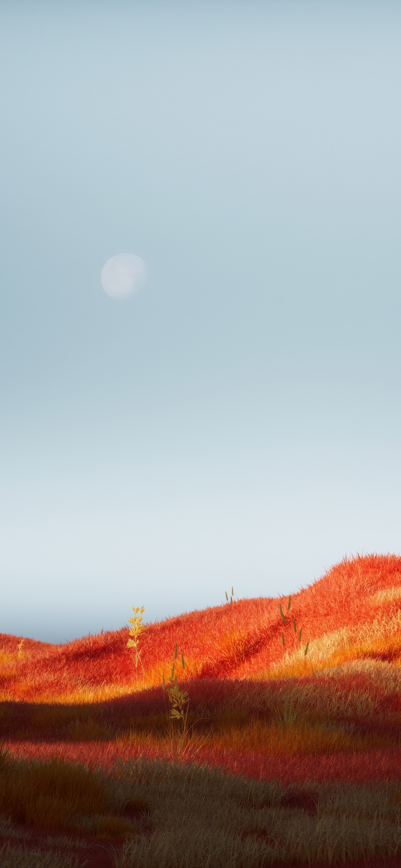 Orange Aesthetic Field Of Grass 4K Most Popular Desktop Wallpapers 6K Backgrounds 8K Backdrops Screensaver Cover For iPhone And Android ULTRA HD High Resolution