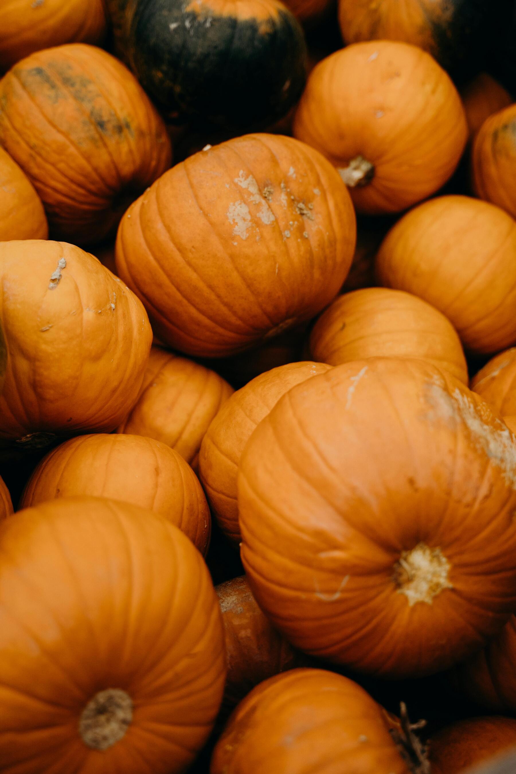 Orange Pumpkins Halloween Seasonal Desktop Background Wallpaper Picture For Apple iPhone Google Android Pixel And Samsung Galaxy