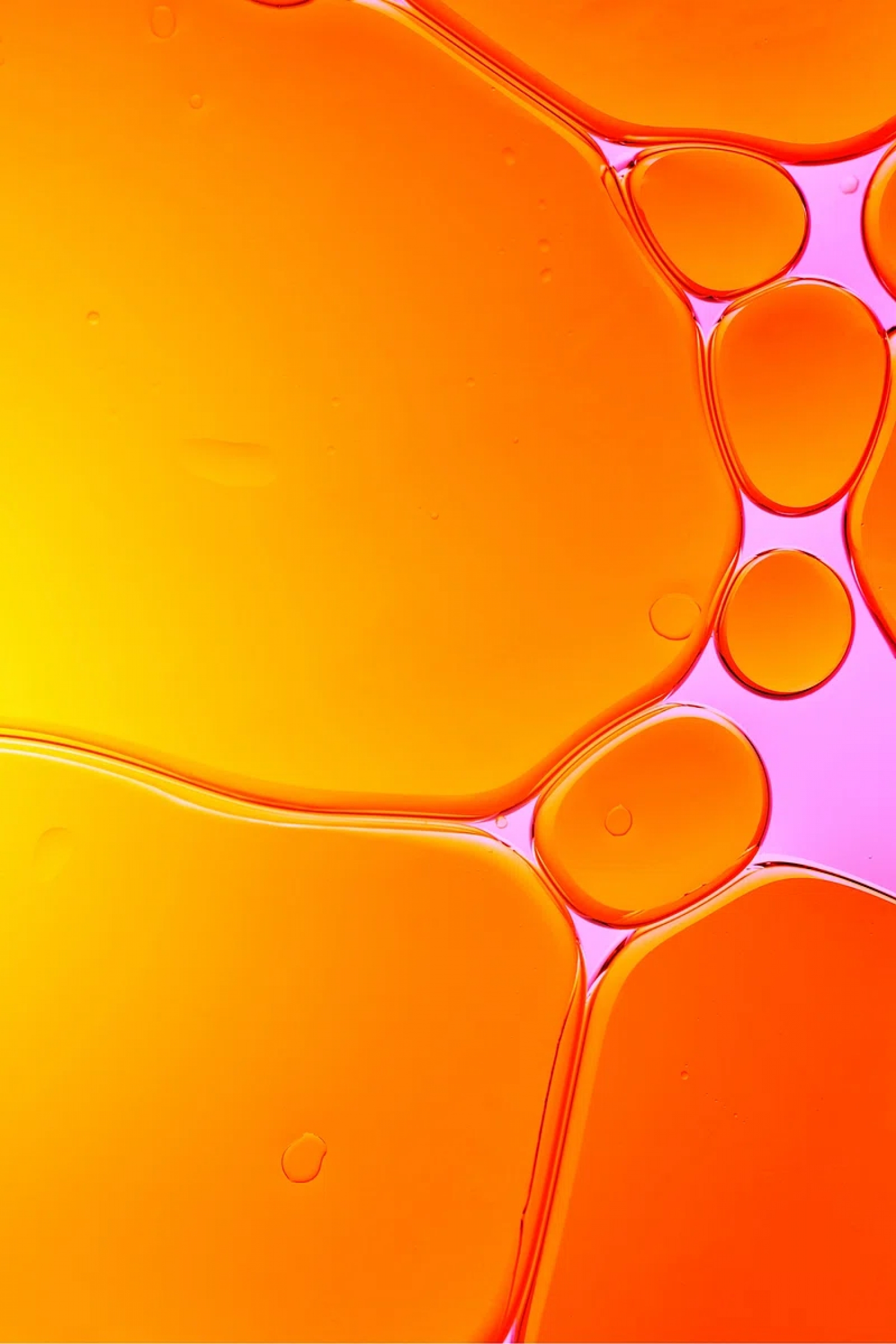 Orange Water Droplets Closeup Microscope wallpaper for Apple iPhone, Mac, iPad and more