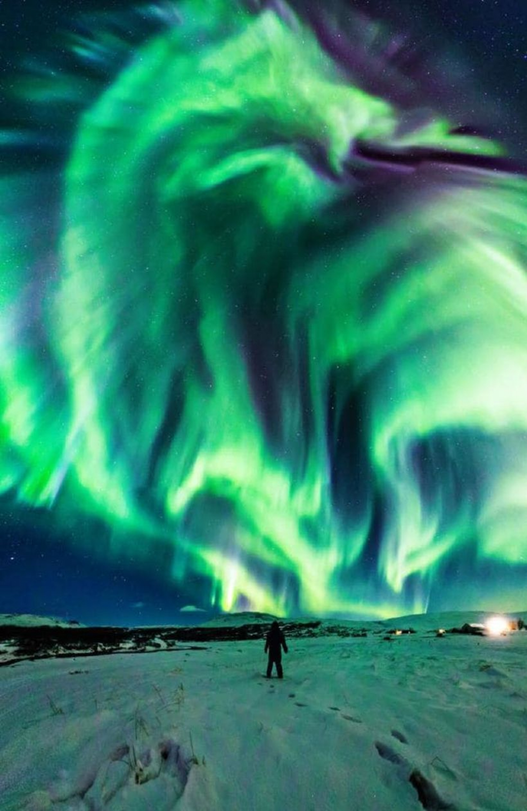 Photo Taken By Nasa Aurora Borealis Vibrant Green