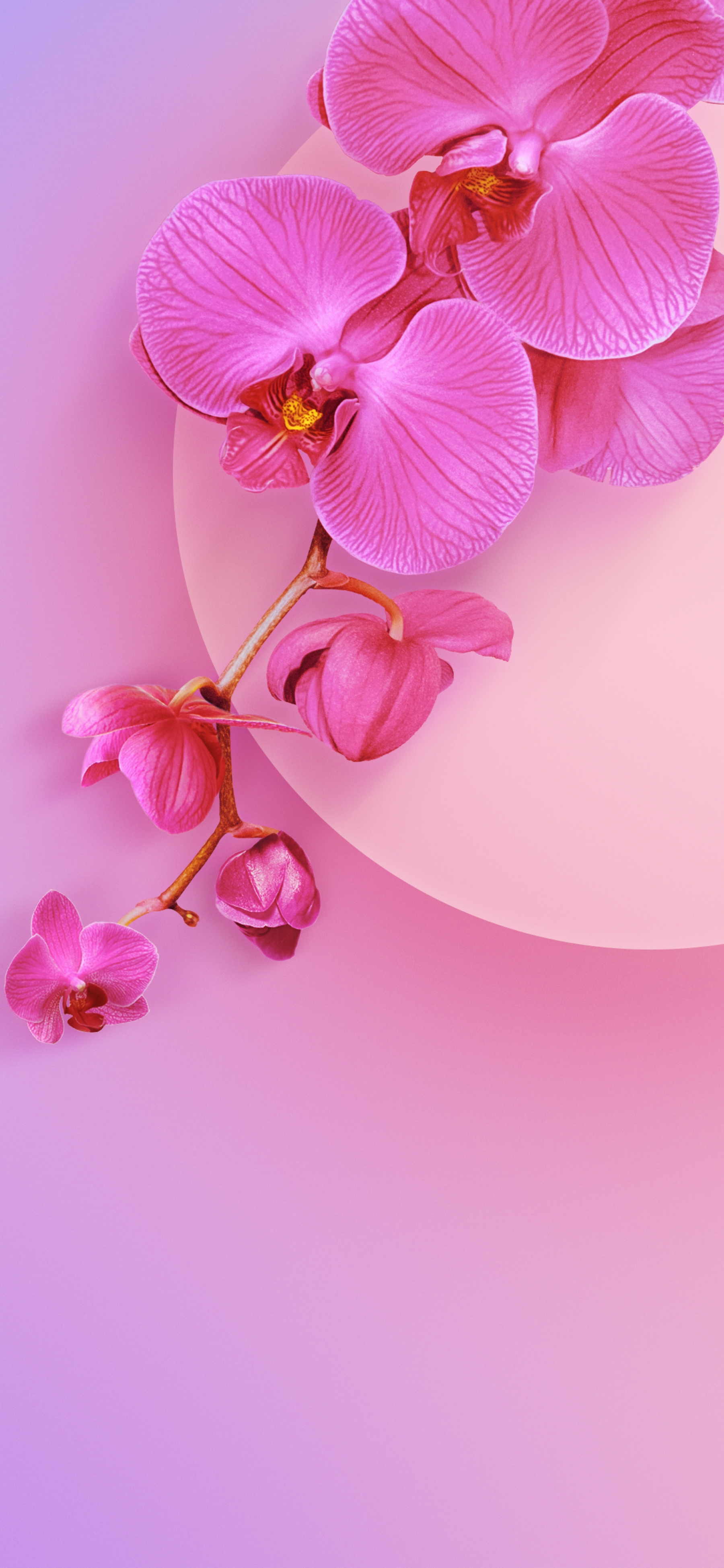 Pink Flowers Simple Minimalist Xiaomi Redmi Stock