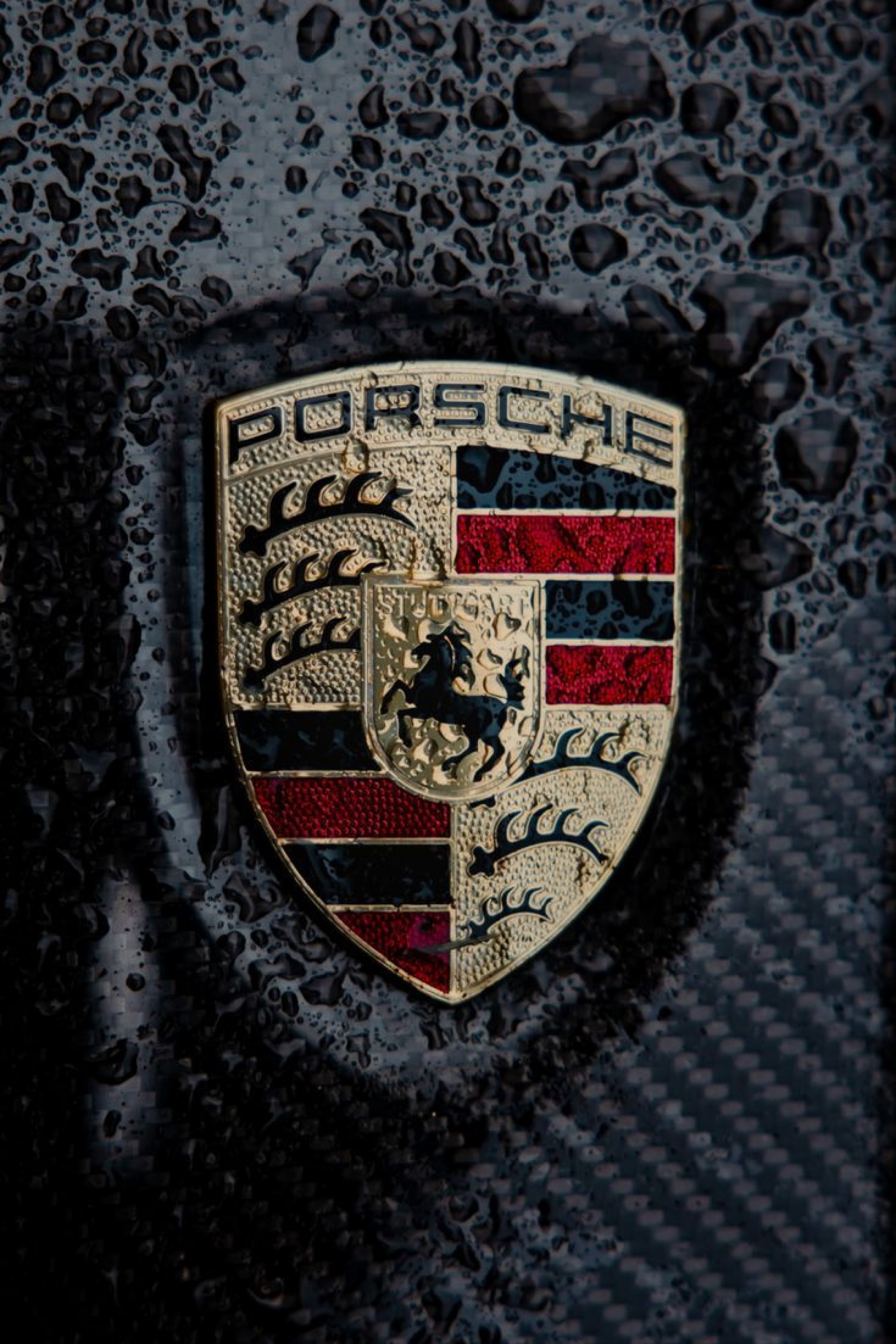 Porsche Car Brand Logo Front Grille