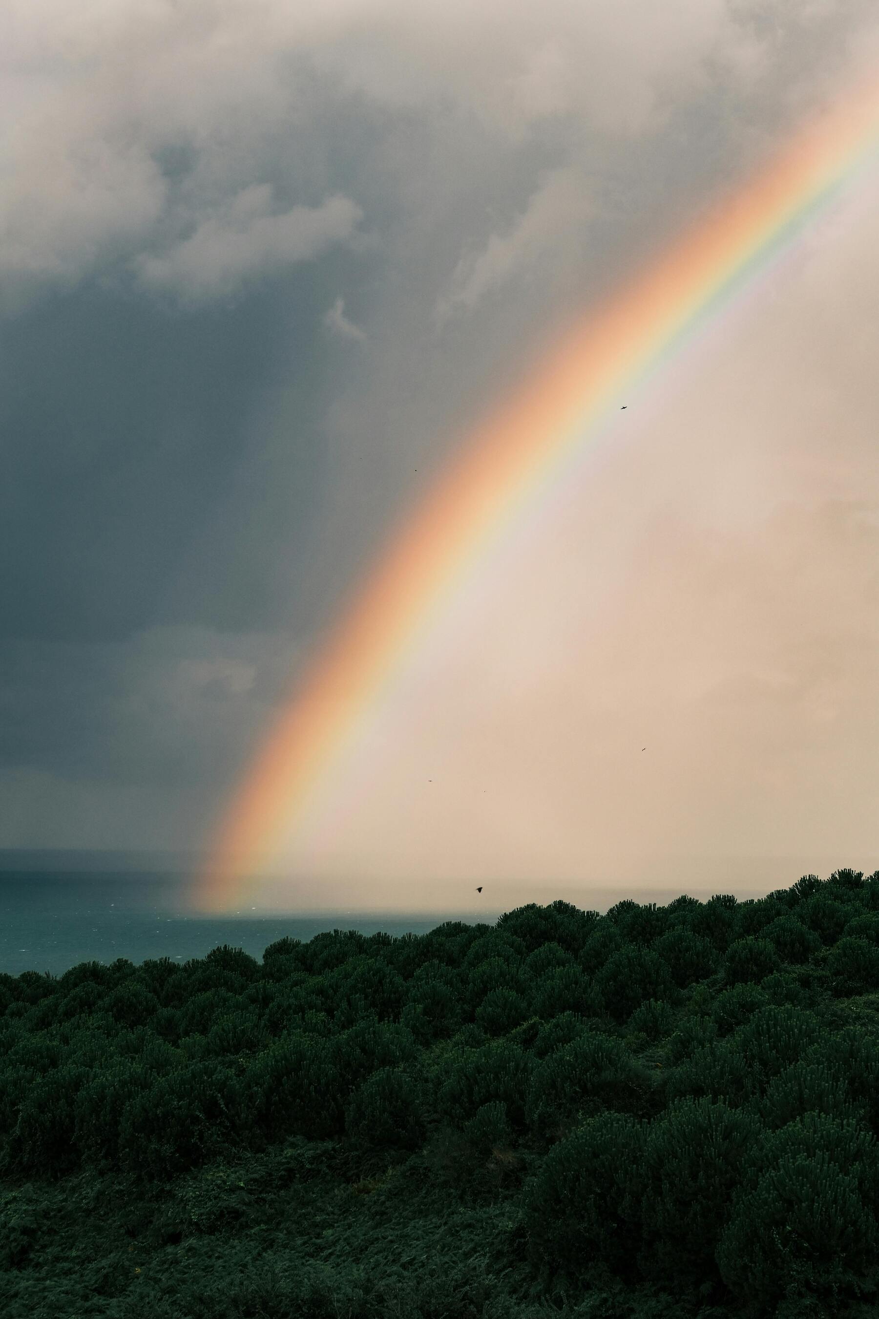 Rainbow Pierces The Storm Clouds Desktop Background Wallpaper Picture For Apple iPhone Google Android Pixel And Samsung Galaxy