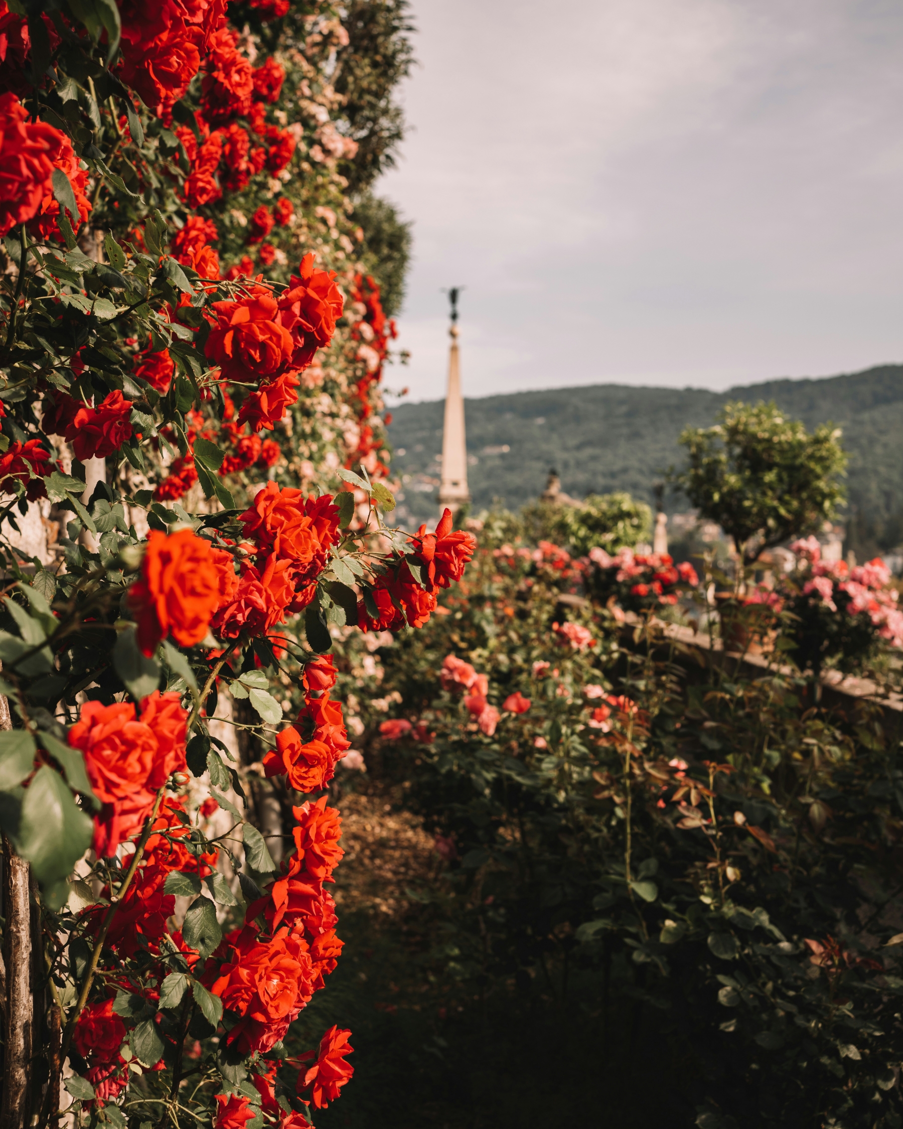 Red Roses Luxury Mansion Garden wallpaper for Apple iPhone, Apple Watch, Mac, iPad and Apple Watch