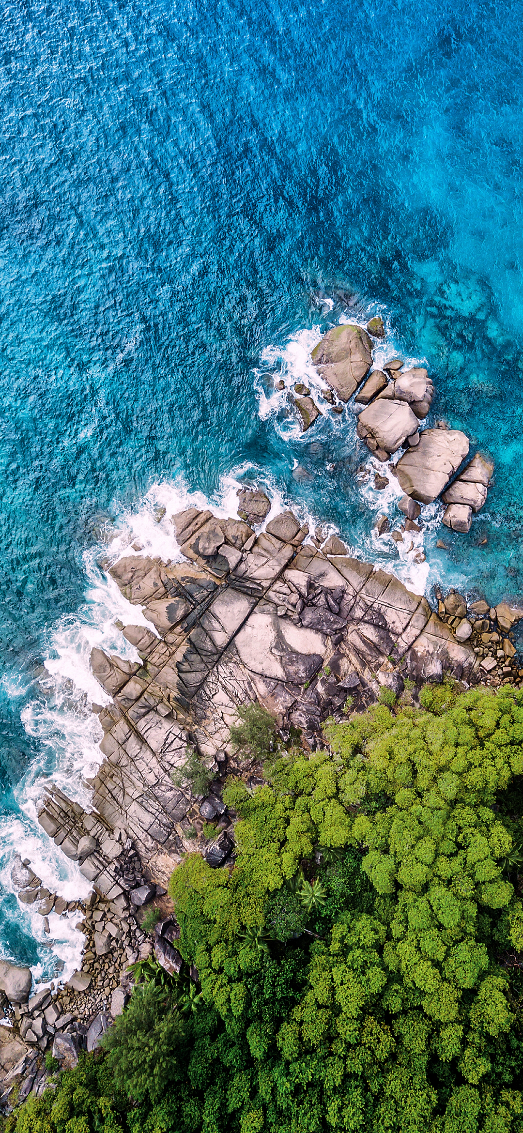 Rock Beach And Forest From Above wallpaper for Apple iPhone, Apple Watch, Mac, iPad and Apple Watch