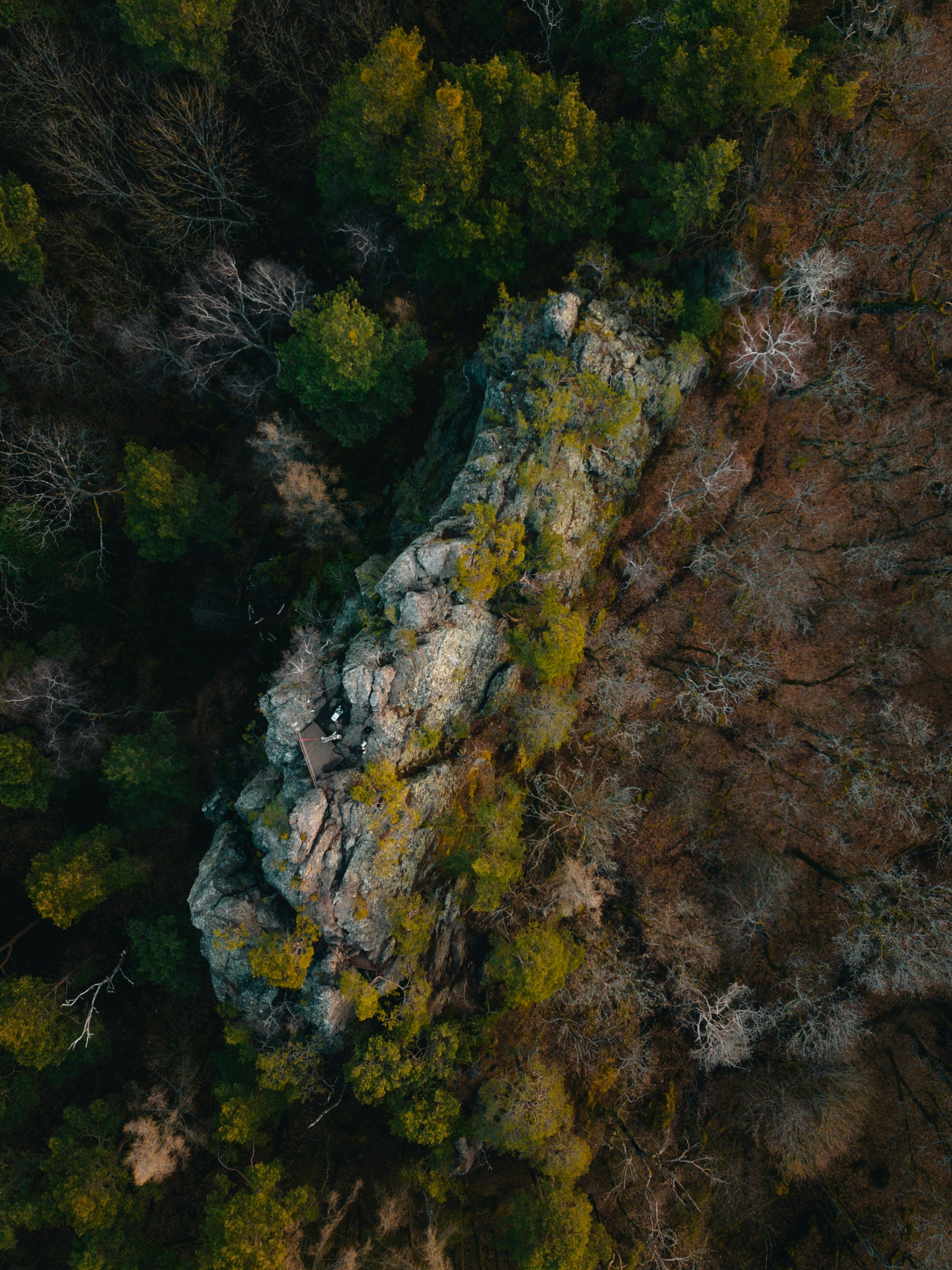 Rock Forest From Above wallpaper for Apple iPhone, Apple Watch, Mac, iPad and Apple Watch