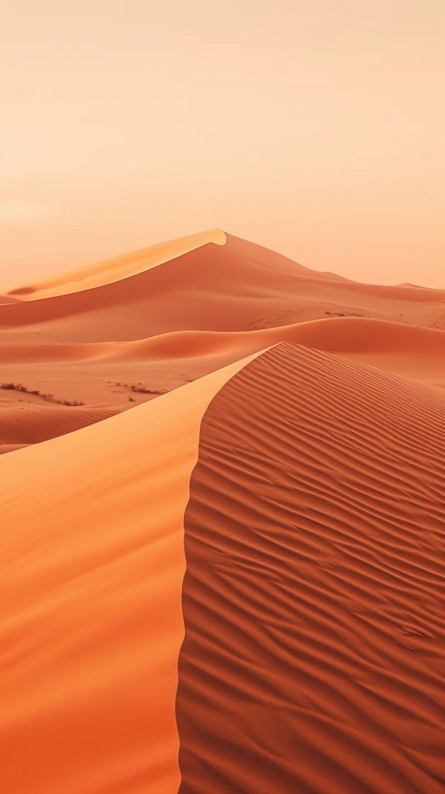 Sahara Desert Africa Sand Dunes