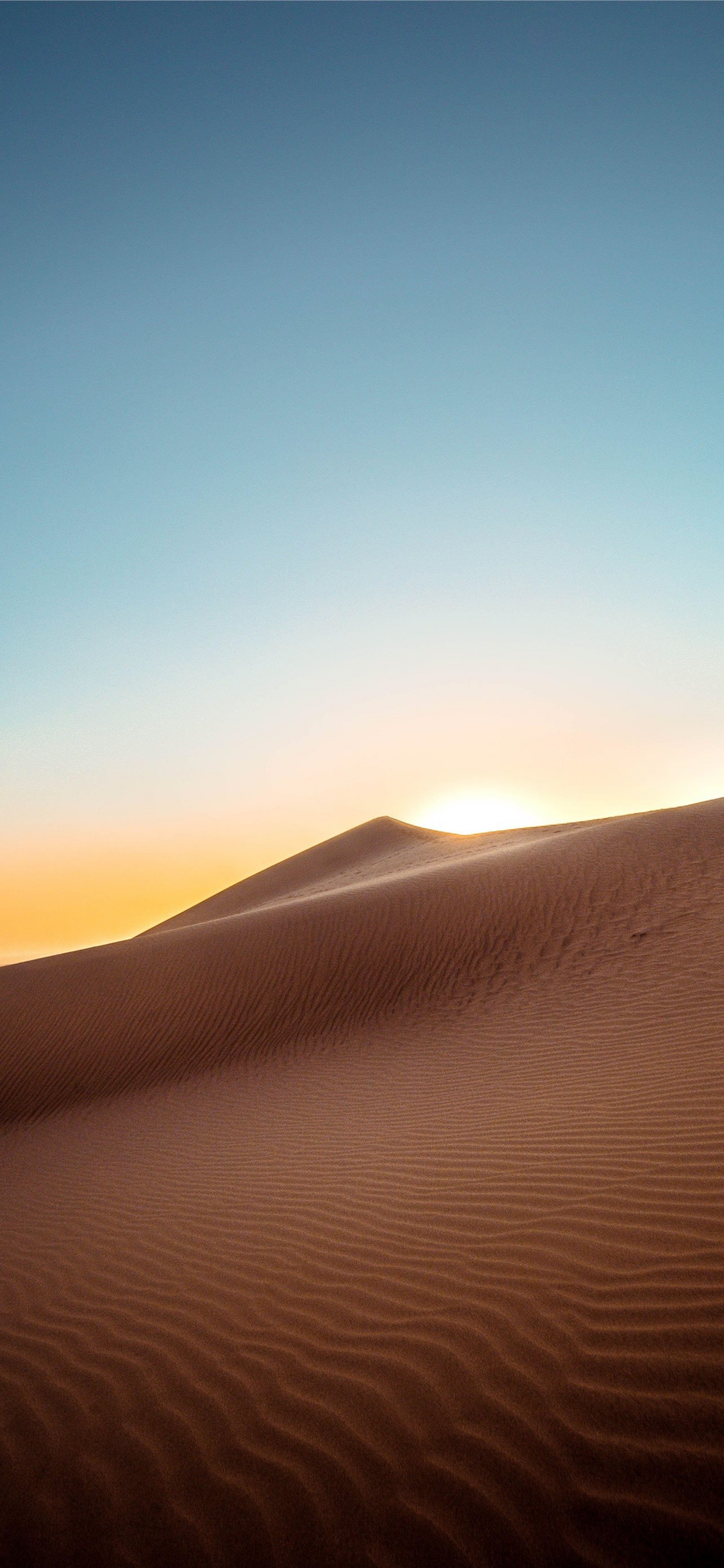 Sahara Desert Africa Sand Dunes At Sunrise