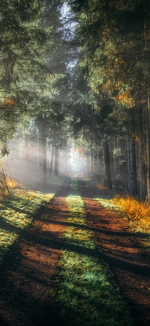 Pathways Wallpapers – Download Free 4K/8K Backgrounds