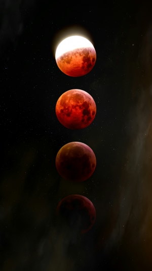 Red wallpaper preview