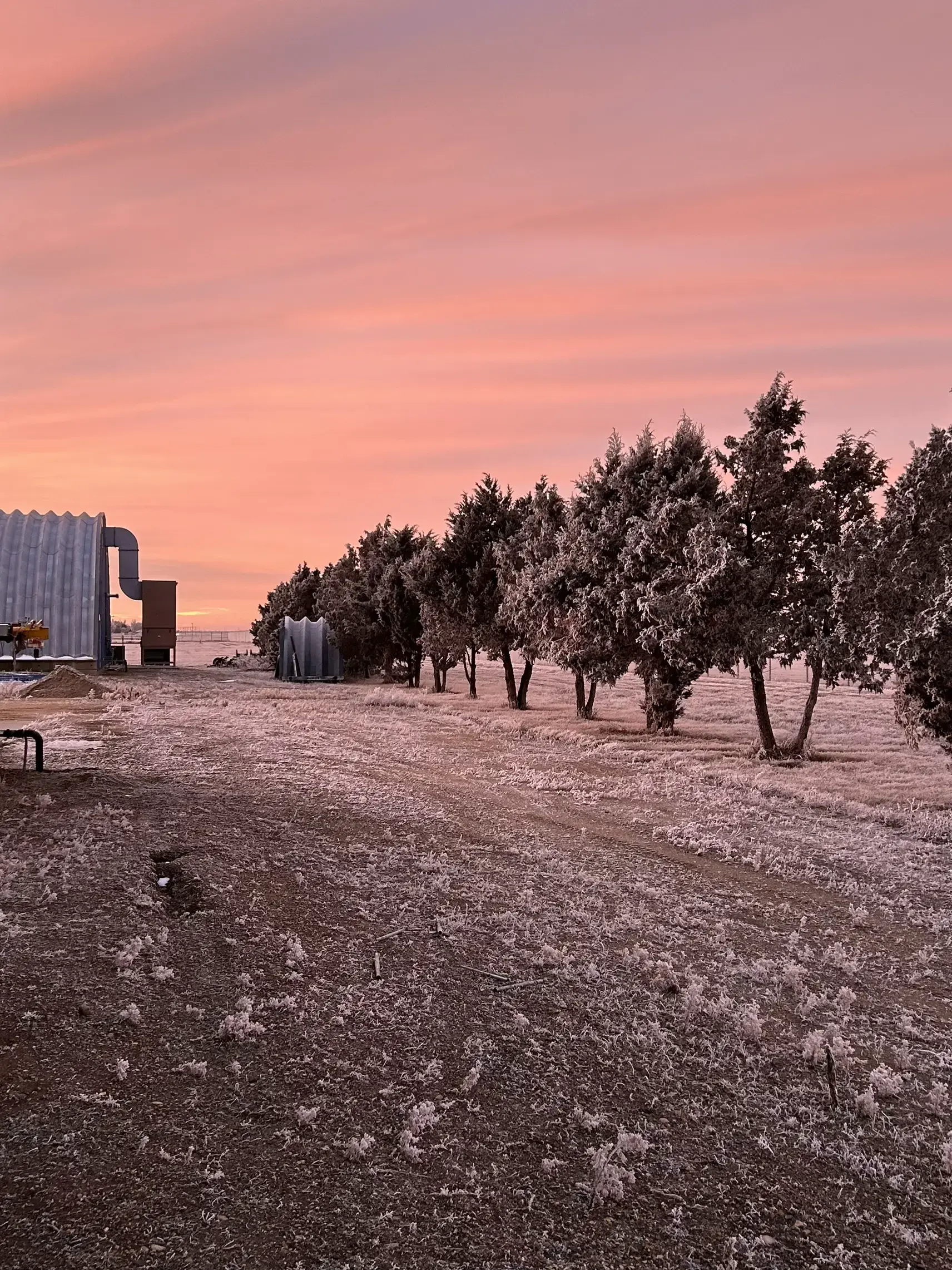 Snow Covered Trees And Pink Orange Sky Sunset In Yankton County South Dakota State United States USA