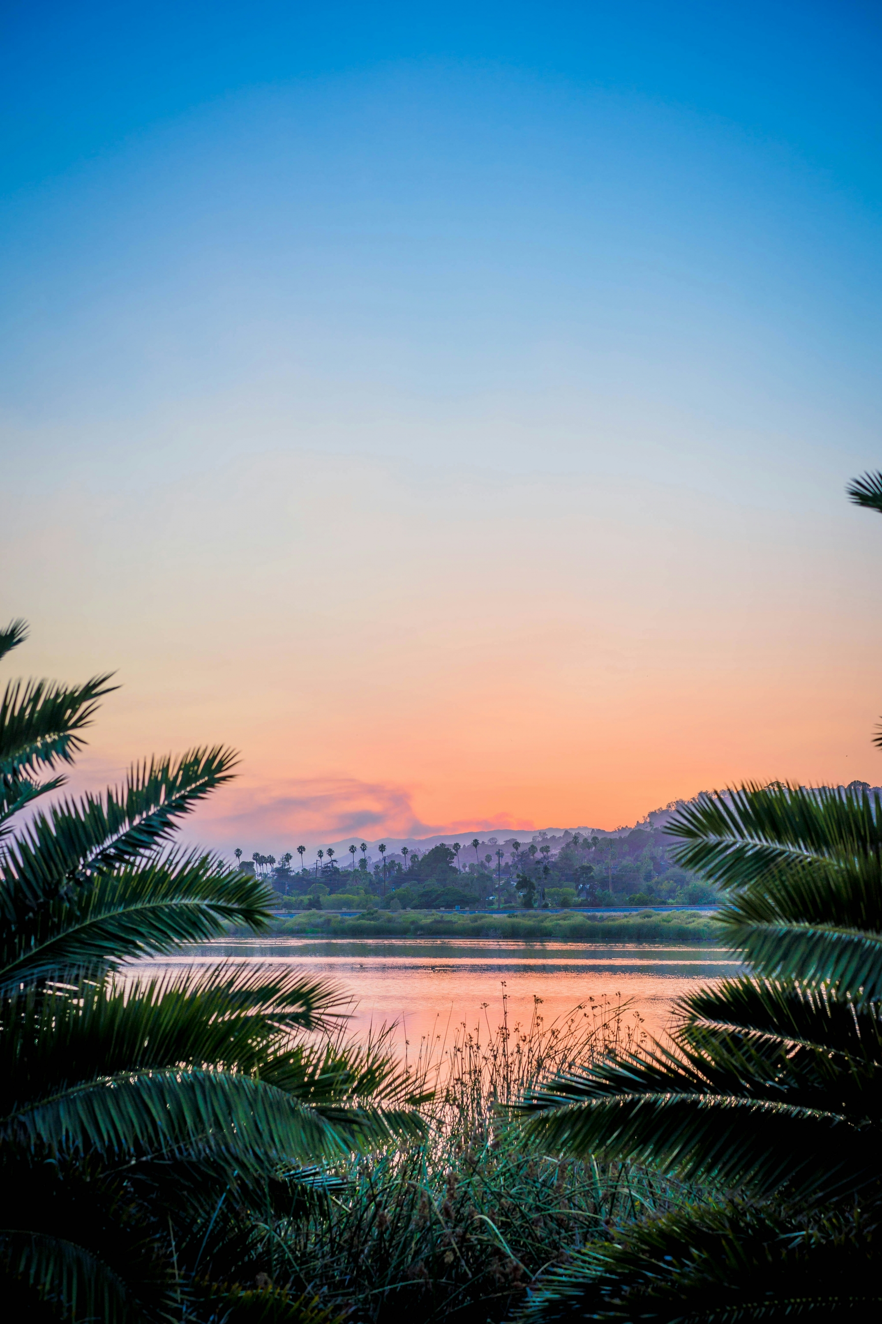 Subtropical Landscape At Sunrise